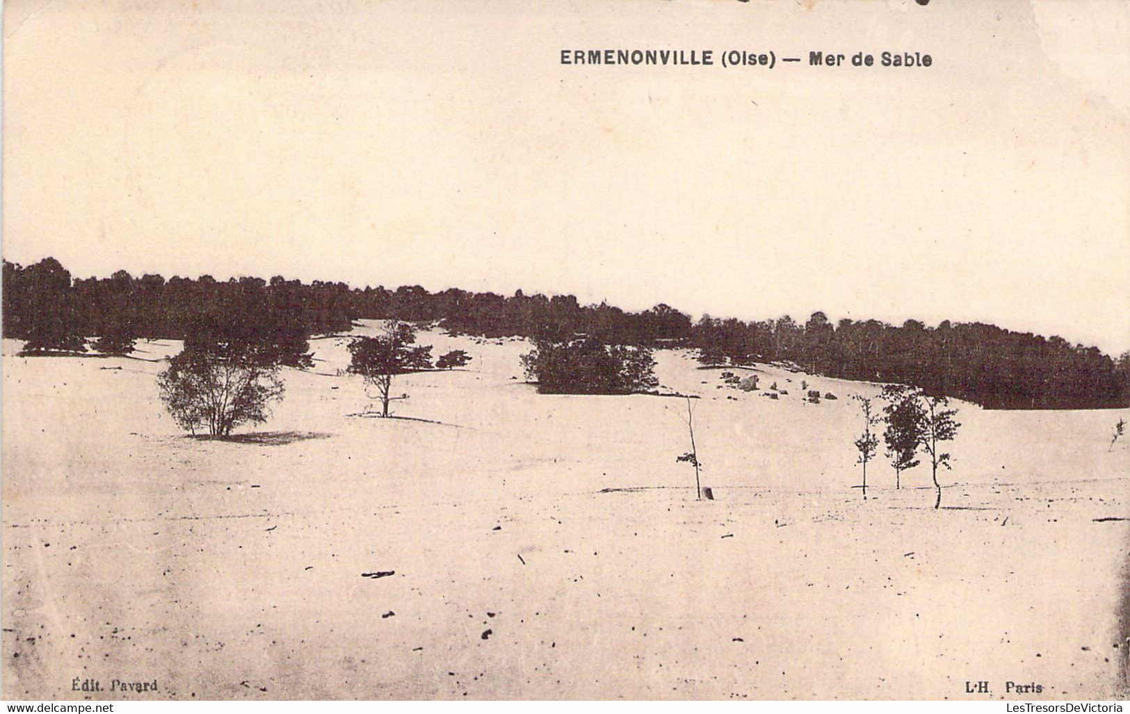 FRANCE - 60 - ERMENONVILLE - Mer De Sable - Edit Pavard - Carte Postale Ancienne - Ermenonville