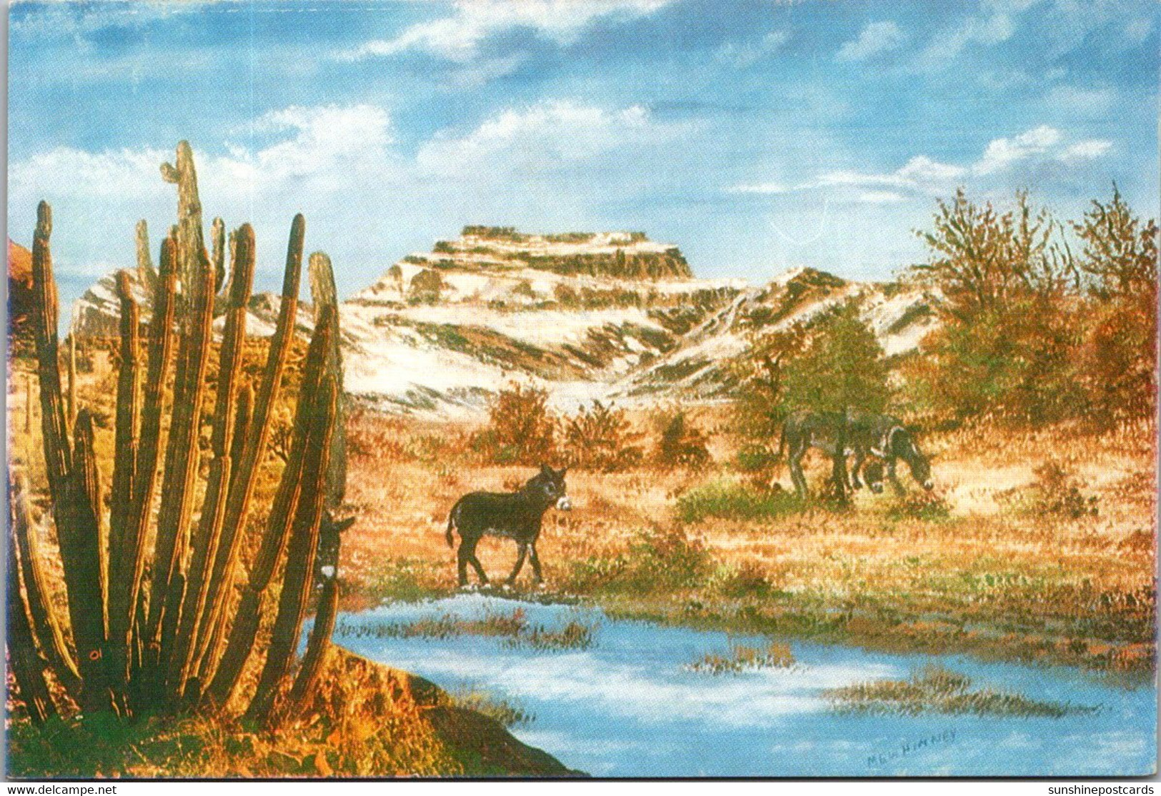 Arizona Winter Southwest Desert Near Tucson Original Oil Painting By William Mewhinney - Tucson