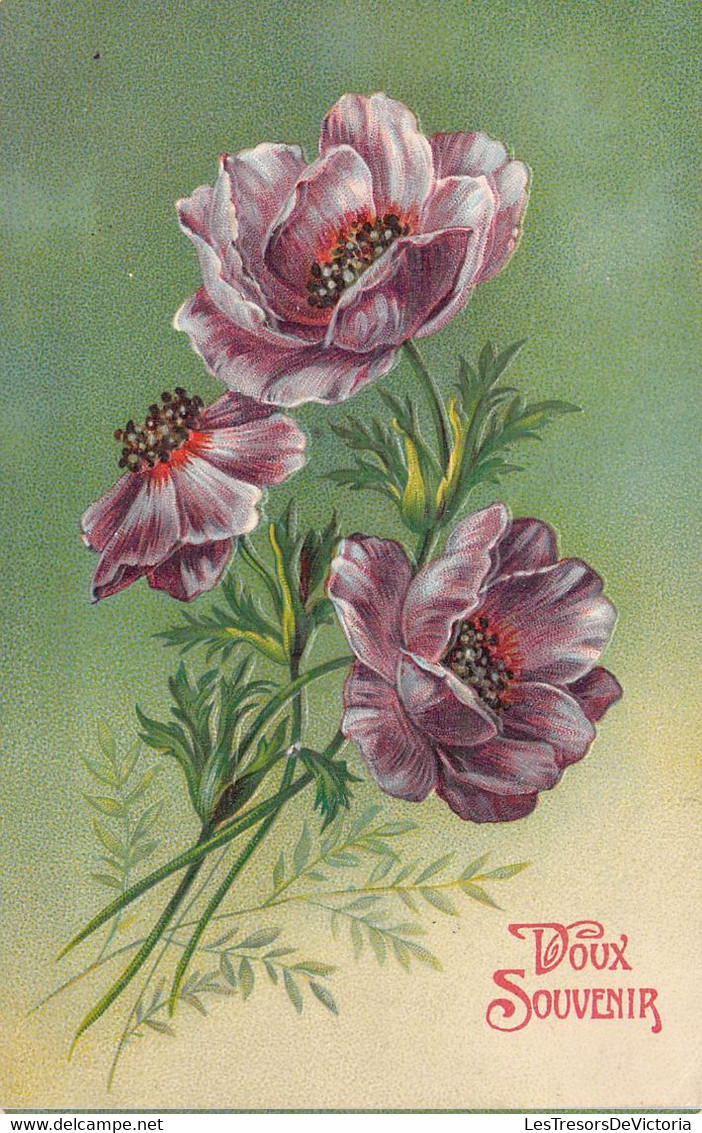 FLEURS - Illustration Non Signée - Fleurs Violettes - Doux Souvenir - Carte Postale Ancienne - Flores