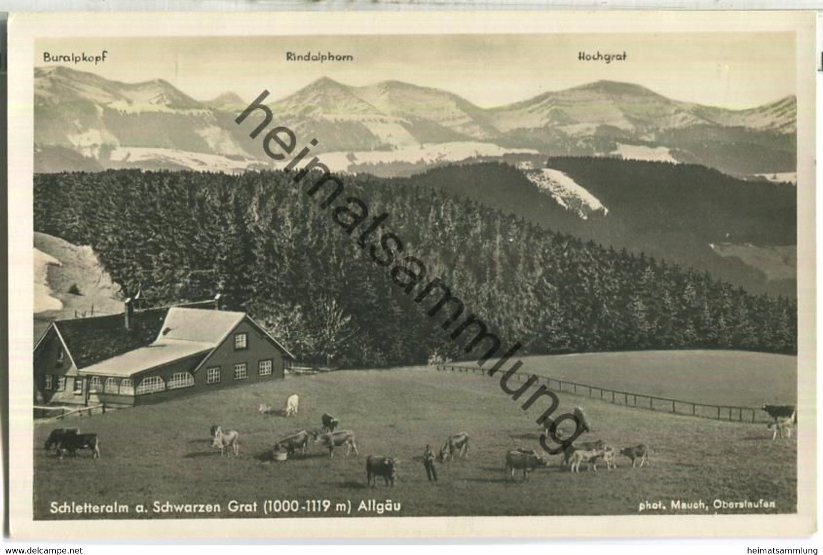 Schletteralm Am Schwarzen Grat - Foto-Ansichtskarte - Verlag Hugo Mauch Oberstaufen - Isny