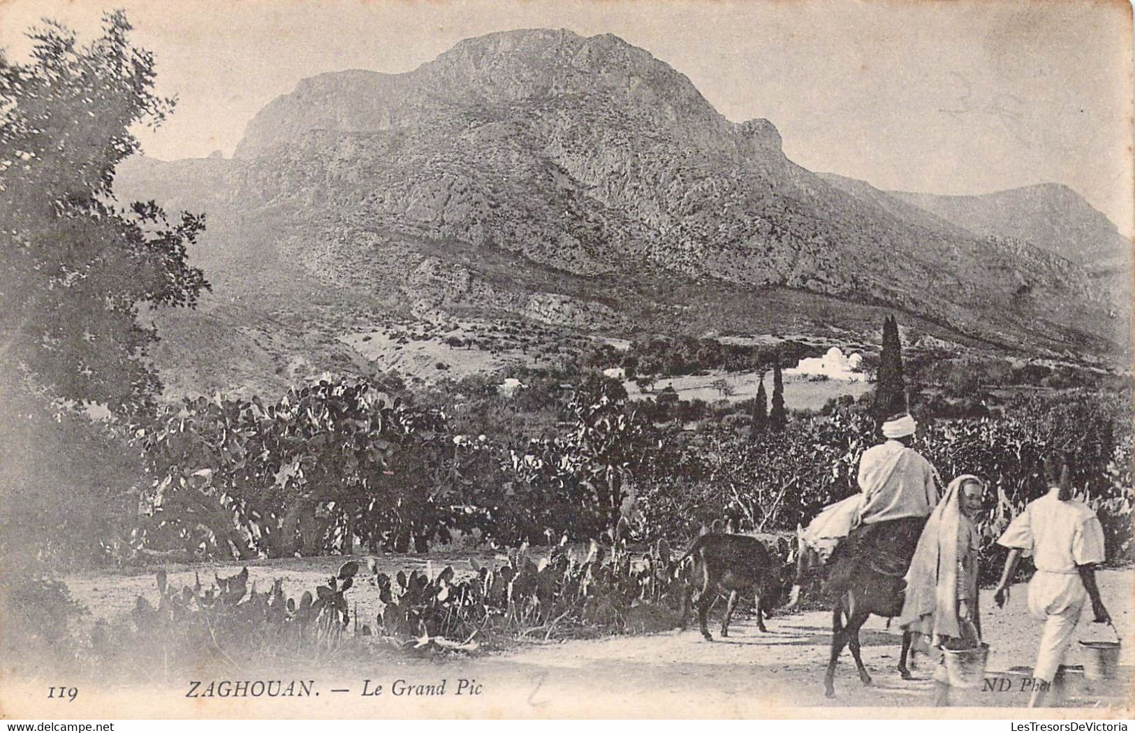 TUNISIE - Zaghouan - Le Grand Pic - Montagne - Editeur : ND - Carte Postale Ancienne - Tunisia