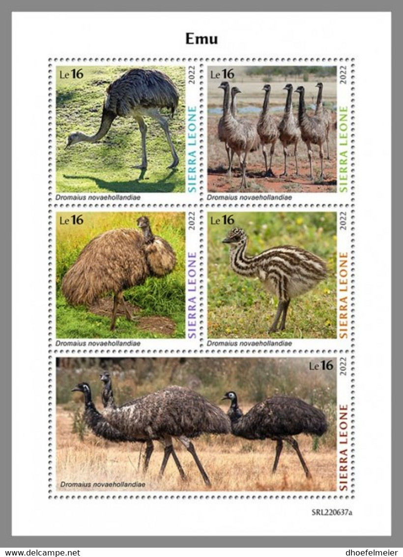SIERRA LEONE 2022 MNH Emu Emeu M/S - OFFICIAL ISSUE - DHQ2310 - Ostriches
