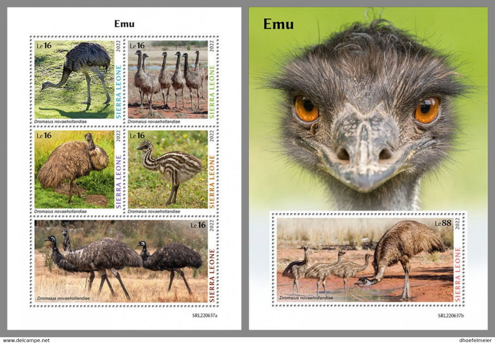 SIERRA LEONE 2022 MNH Emu Emeu M/S+S/S - OFFICIAL ISSUE - DHQ2310 - Struzzi