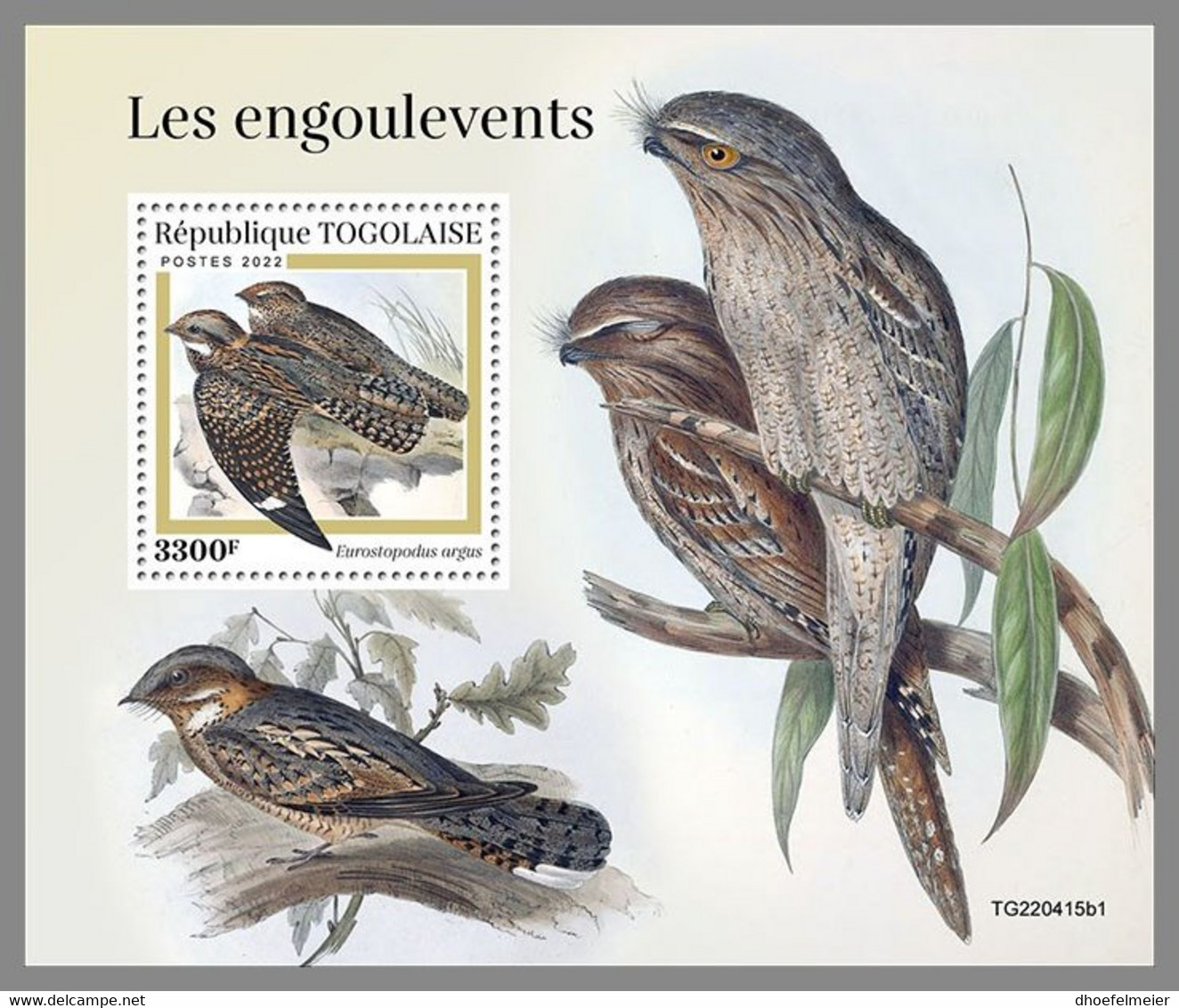 TOGO 2022 MNH Nightjars Nachtschwalben Engoulevents S/S I - OFFICIAL ISSUE - DHQ2310 - Hirondelles