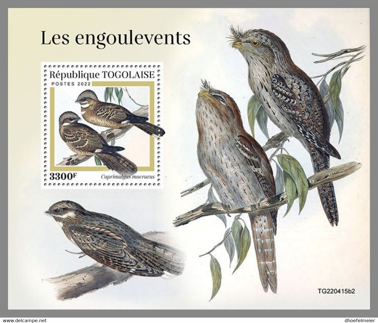 TOGO 2022 MNH Nightjars Nachtschwalben Engoulevents S/S II - OFFICIAL ISSUE - DHQ2310 - Hirondelles