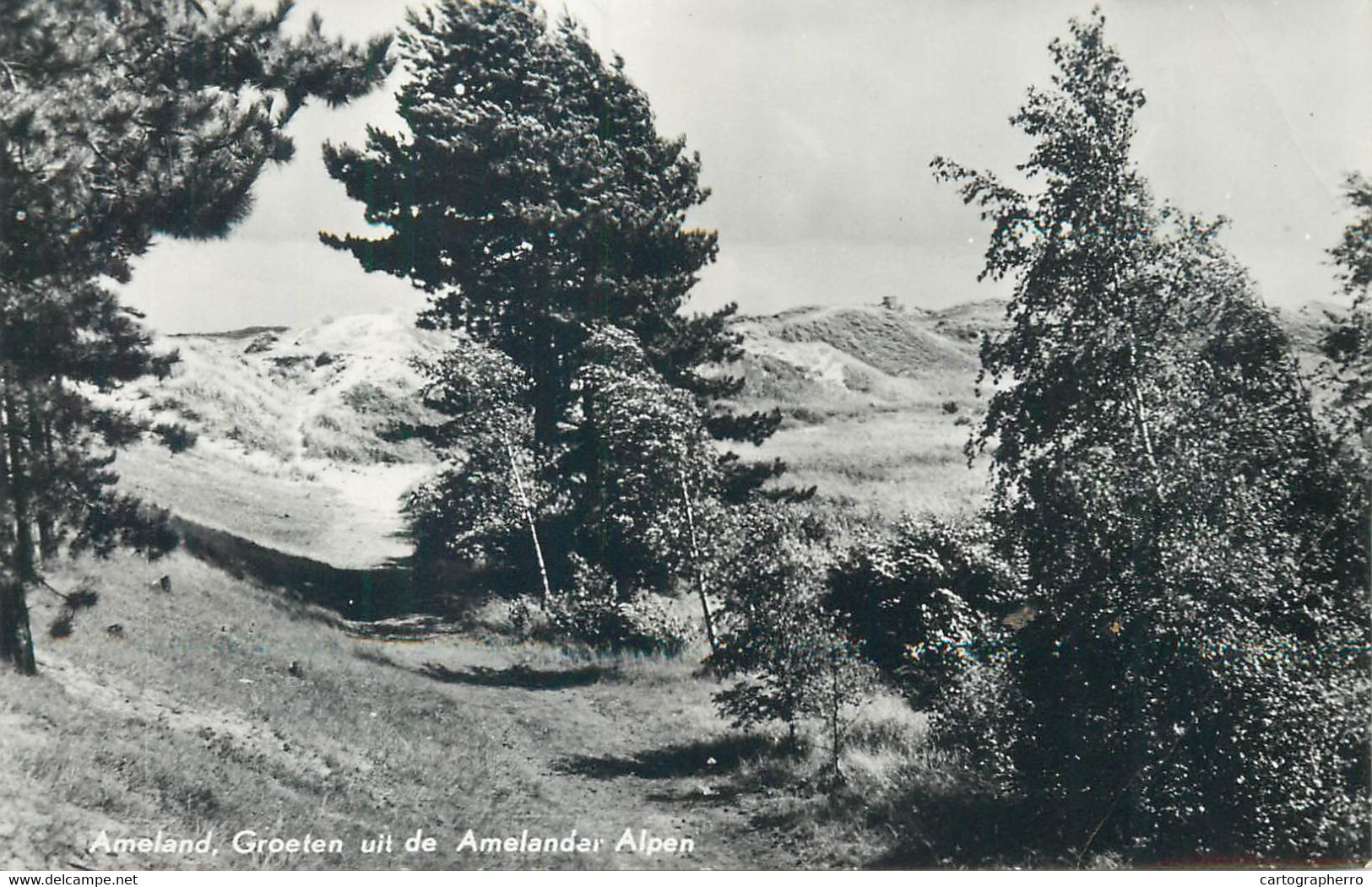 Postcard Netherlands Ameland Hotel Steinvoorte - Ameland