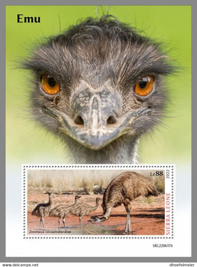 SIERRA LEONE 2022 MNH Emu Emeu S/S - IMPERFORATED - DHQ2310 - Struisvogels