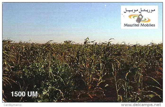 *MAURITANIA* - Scheda PROTOTIPO - Mauritanie