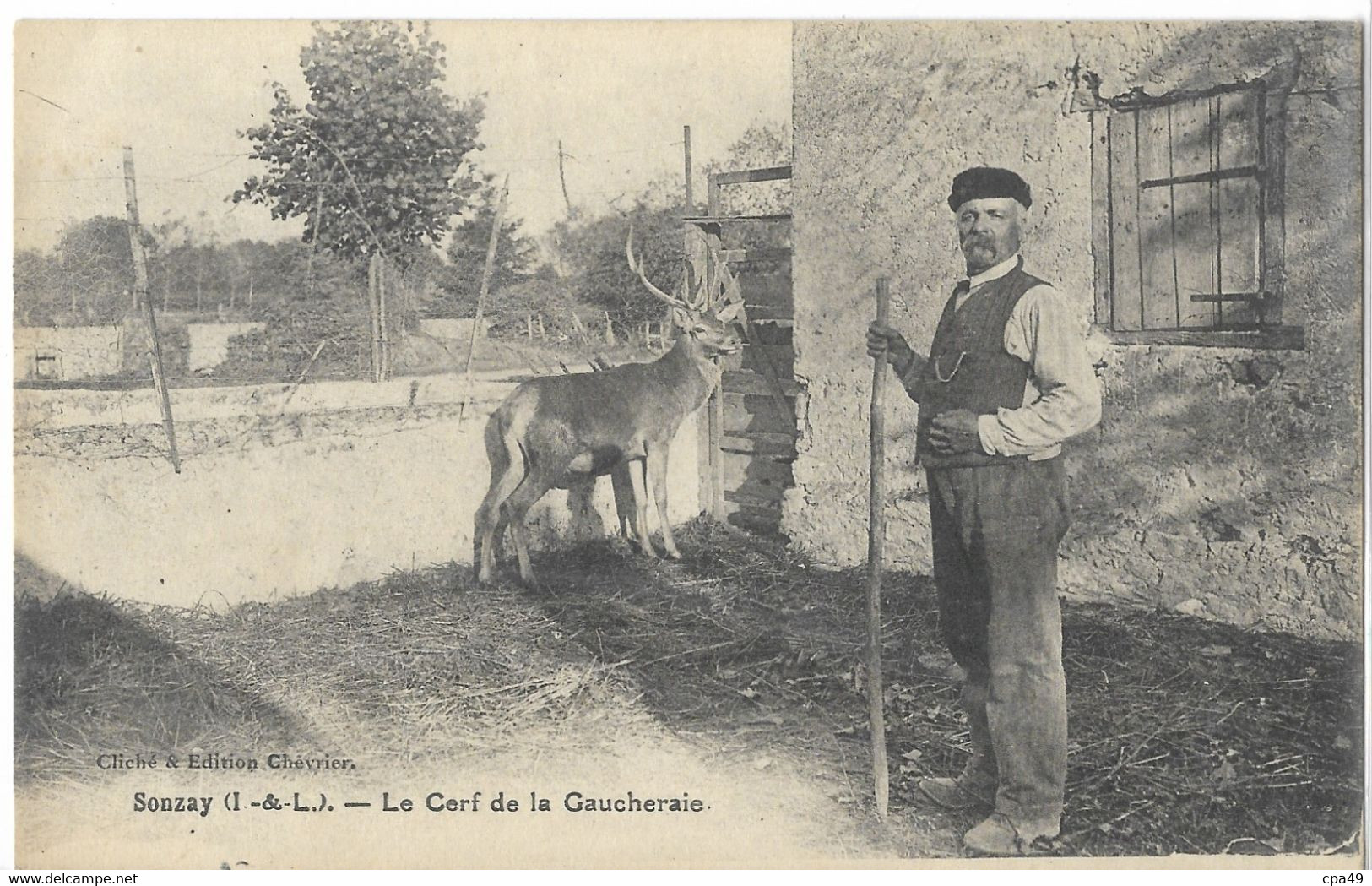 37    SONZAY   LE  CERF DE LA GAUCHERAIE - Autres & Non Classés