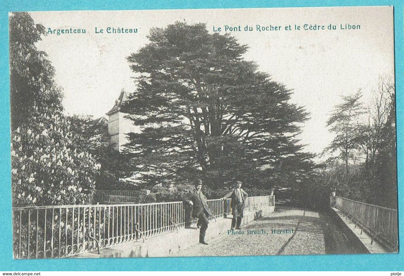 * Argenteau - Wezet Visé (Liège - La Wallonie) * (Photo Breuls Herstal) Le Chateau, Pont Du Rocher Et Cèdre Du Libon - Wezet