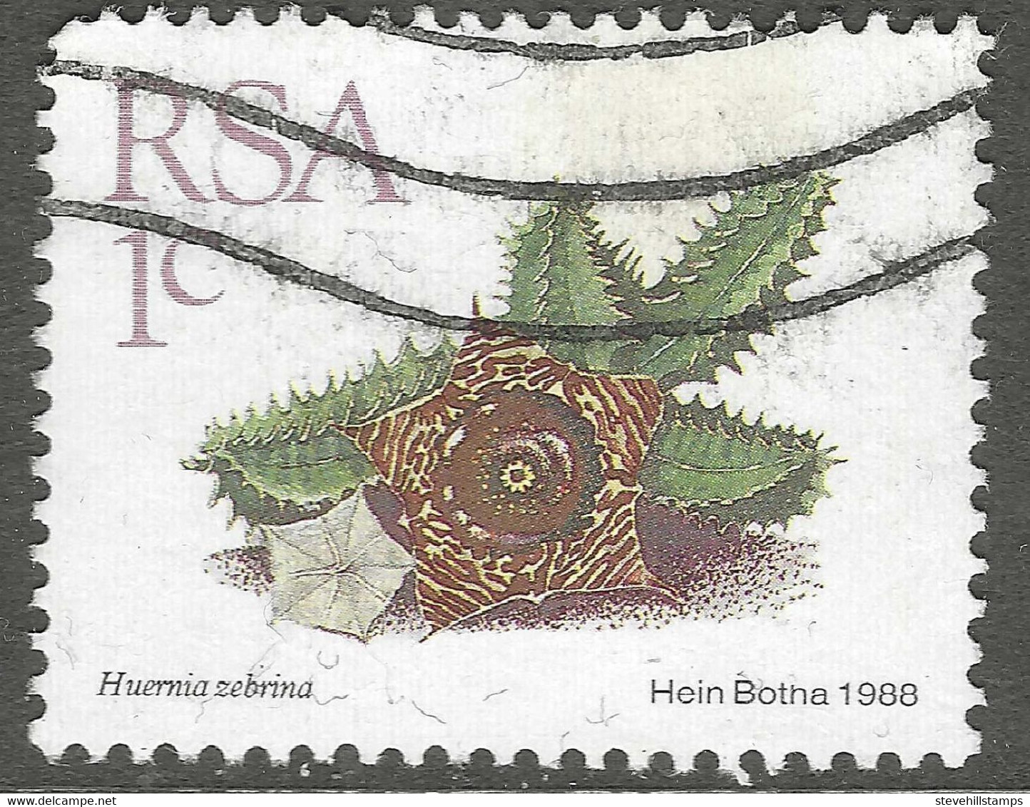 South Africa. 1988 Succulents. 1c Used. SG 654 - Oblitérés