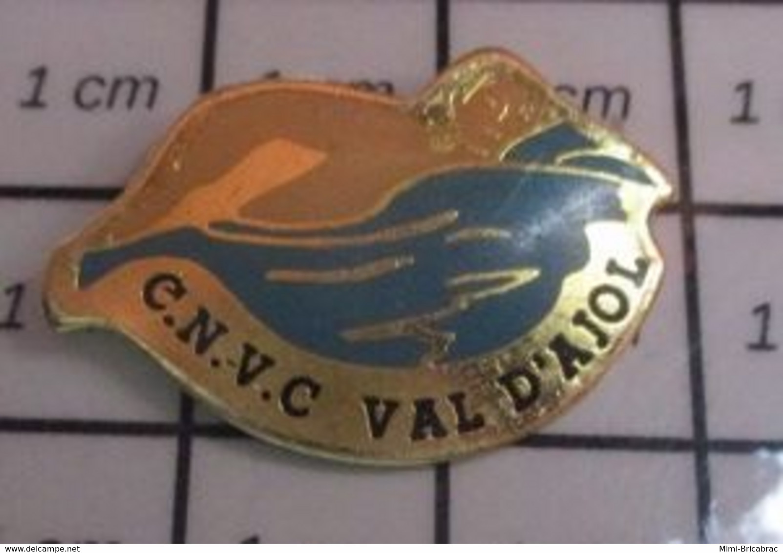 414b Pin's Pins / Beau Et Rare / SPORTS / CLUB NATATION CNVC VAL D'AJOL - Schwimmen