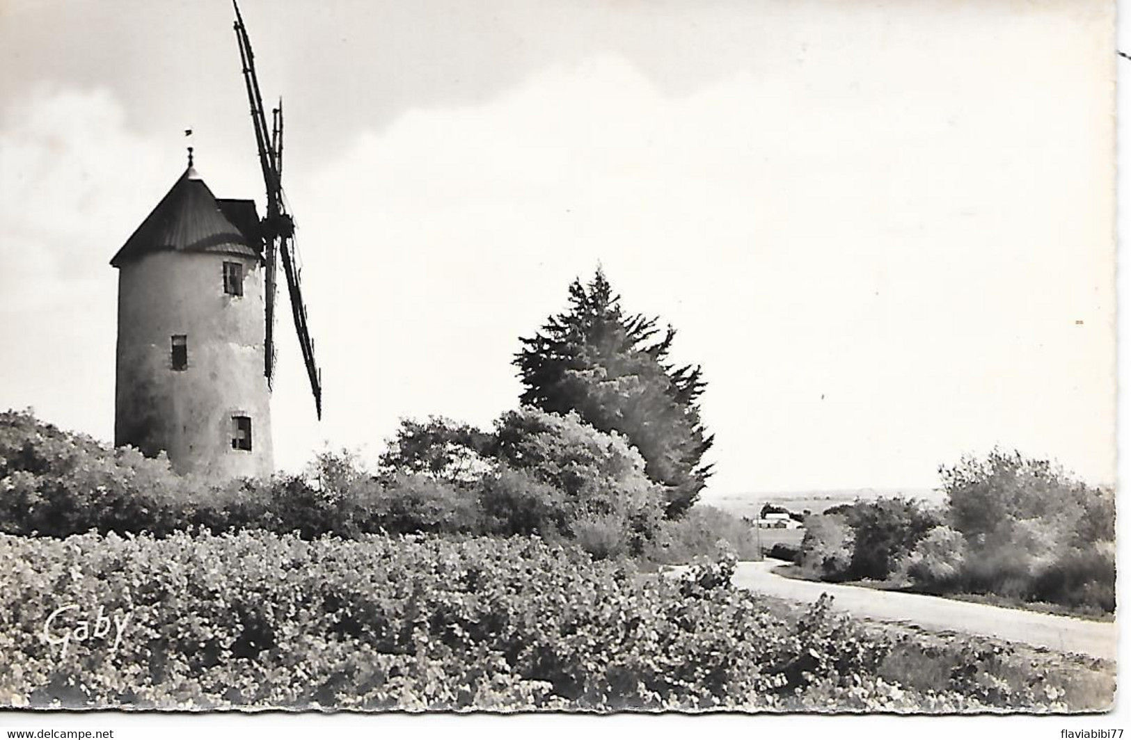 BOURGNEUF   - ( 44 ) -  Le Moulin De  L'arzelier   ( C . P. S. M -Pt -Ft ) - Bourgneuf-en-Retz