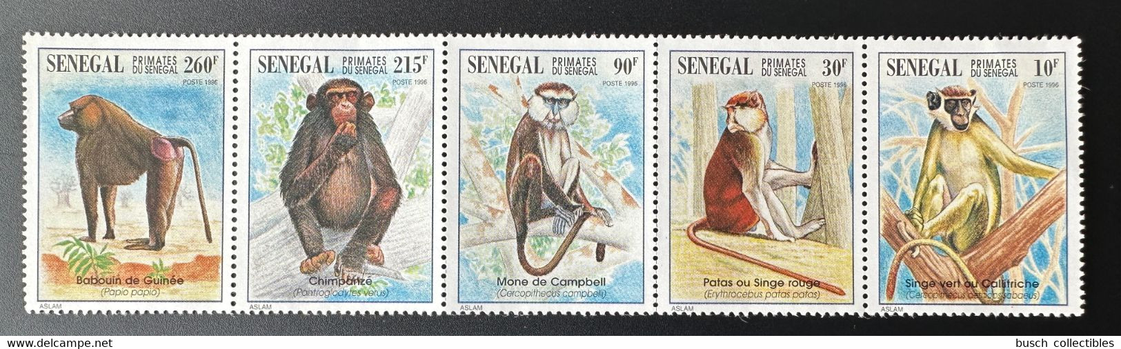 Sénégal 1996 Mi.1447 - 1451 Faune Fauna Singes Monkeys Affen Primates RARE MNH - Monkeys