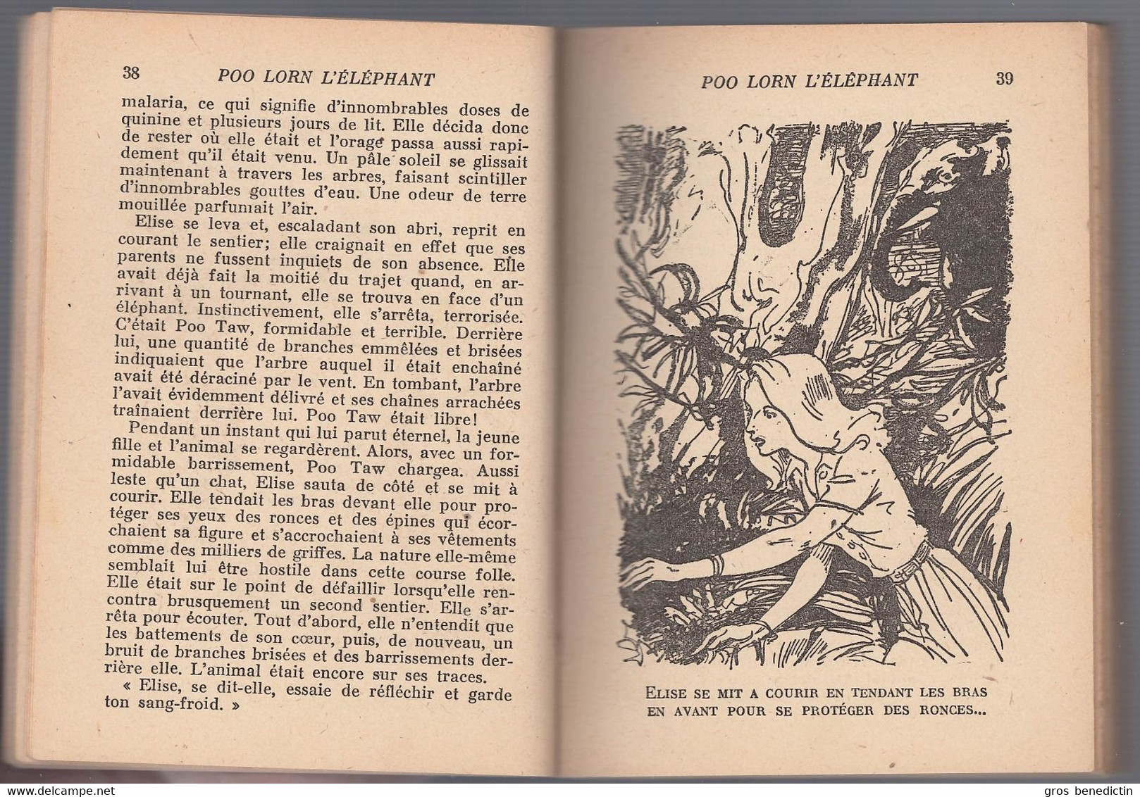 Hachette - Bibliothèque De La Jeunesse Avec Jaquette - Reginald Campbell - "Poo Lorn L'éléphant" - 1947 - #Ben&BJanc - Bibliotheque De La Jeunesse