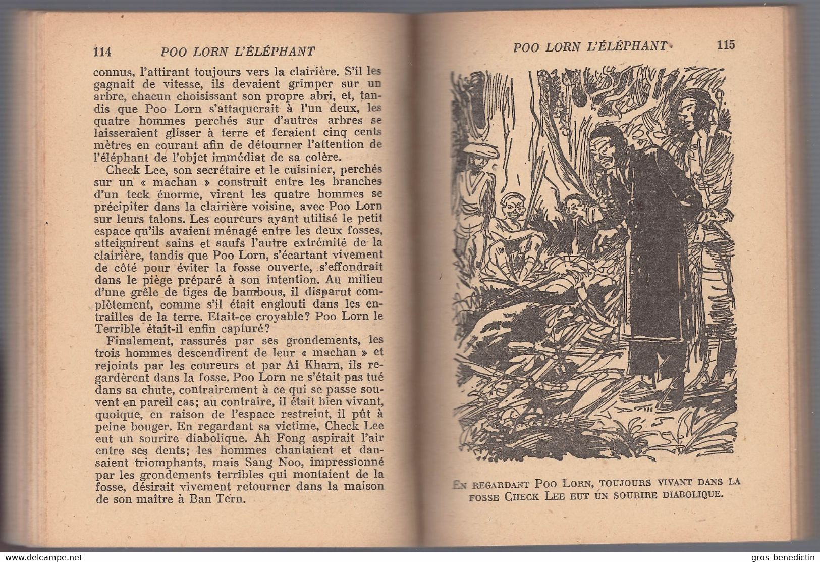 Hachette - Bibliothèque De La Jeunesse Avec Jaquette - Reginald Campbell - "Poo Lorn L'éléphant" - 1947 - #Ben&BJanc - Bibliotheque De La Jeunesse