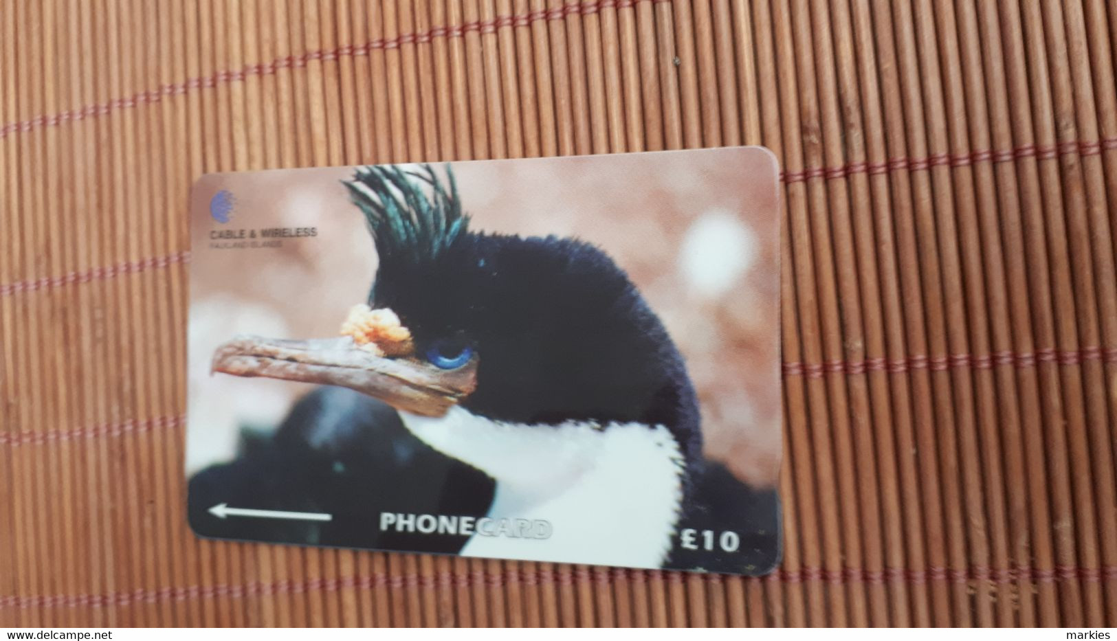 Bird Phonecard  229CFKA Used Rare - Falkland Islands