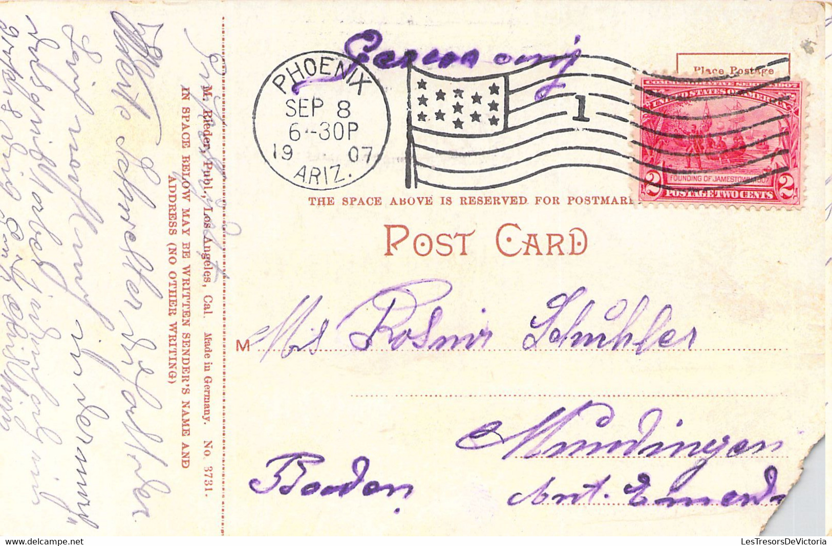 USA - ARIZONA - Oranges And Roses - Carte Postale Ancienne - Other & Unclassified