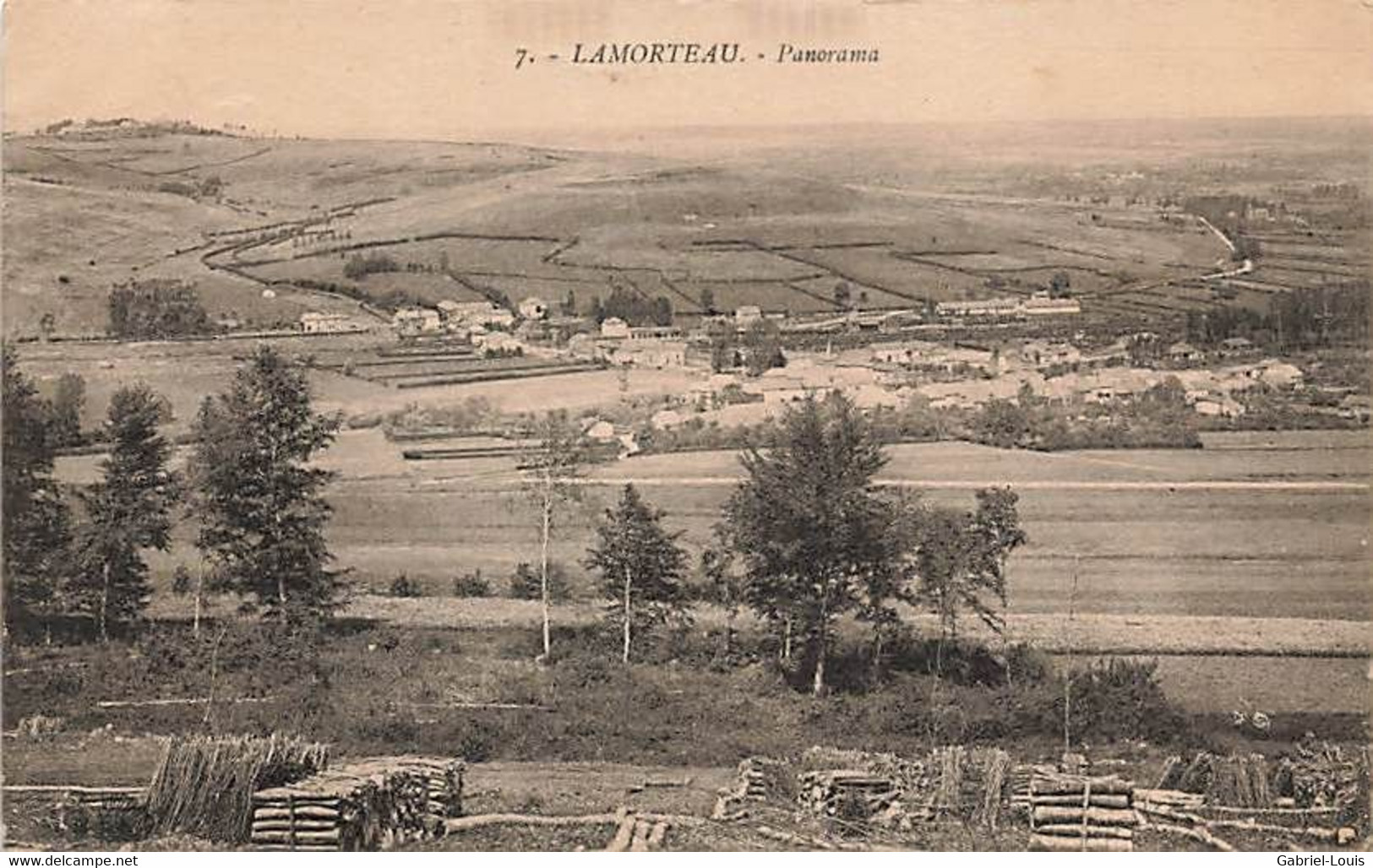 Lamorteau Panorama Bois Bûcheronnage - Rouvroy
