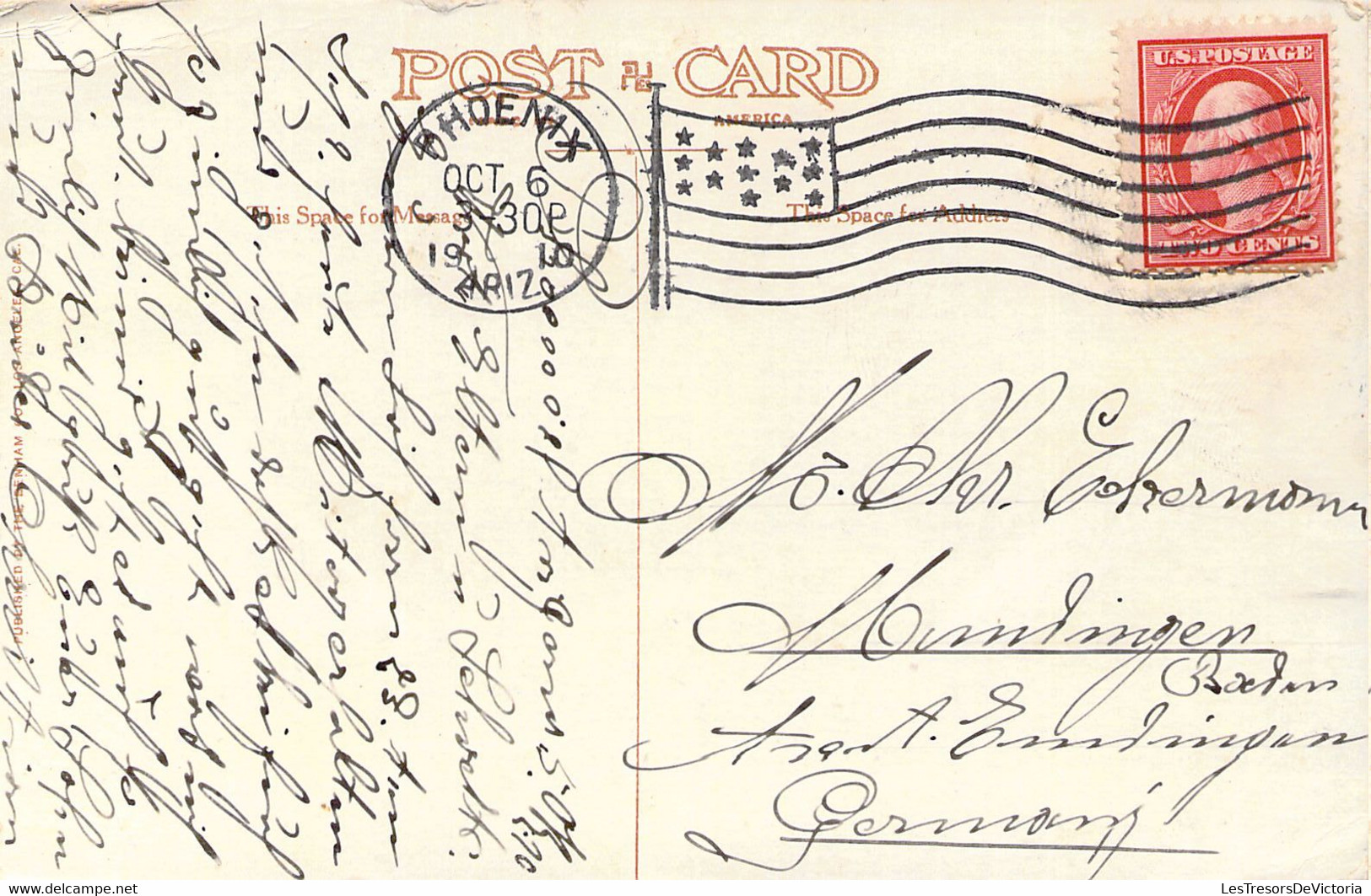 USA - ARIZONA - Spanish Bayonet Un Bloom - Carte Postale Ancienne - Other & Unclassified