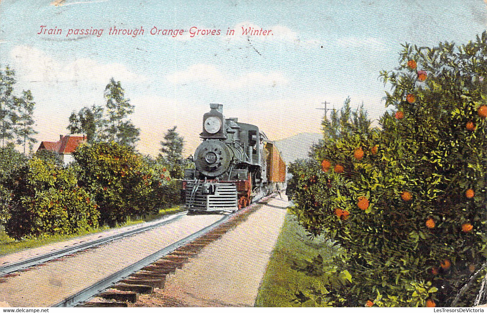 USA - ARIZONA - Train Passing Through Orange Groves In Winter - Carte Postale Ancienne - Andere & Zonder Classificatie