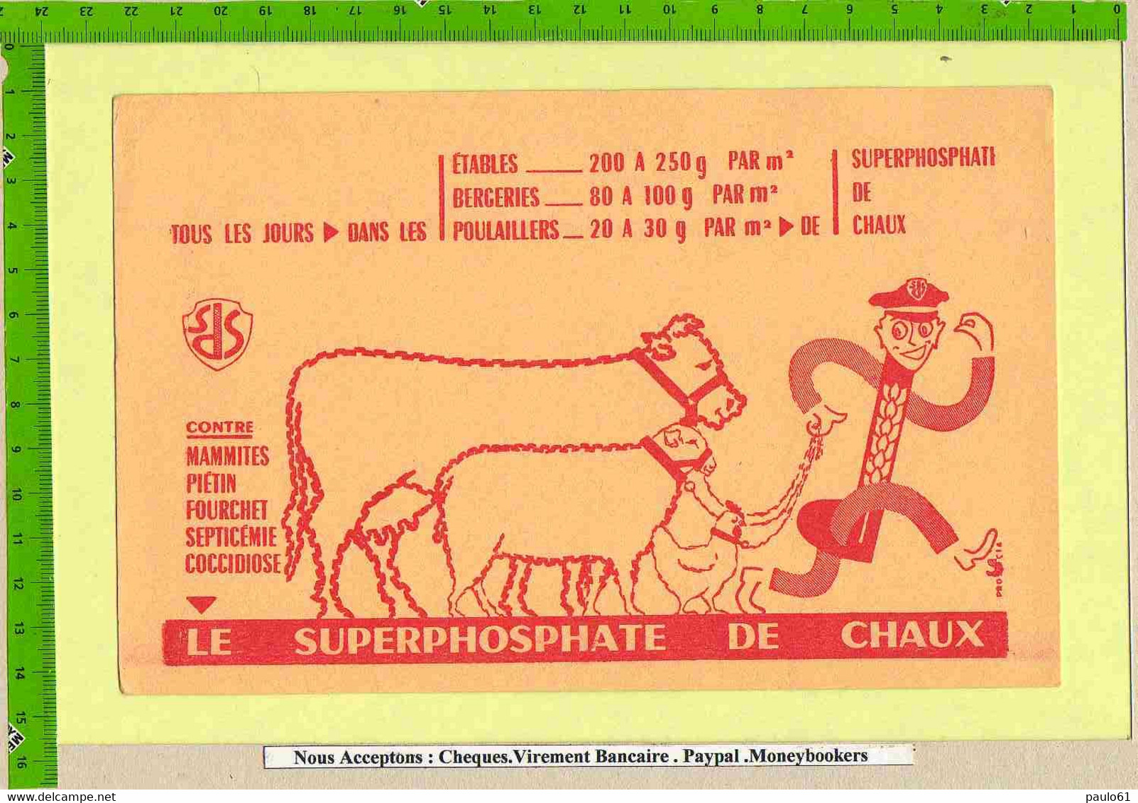 BUVARD : Le Superphosphate De Chaux Moutons , Vaches , Poules - Agriculture