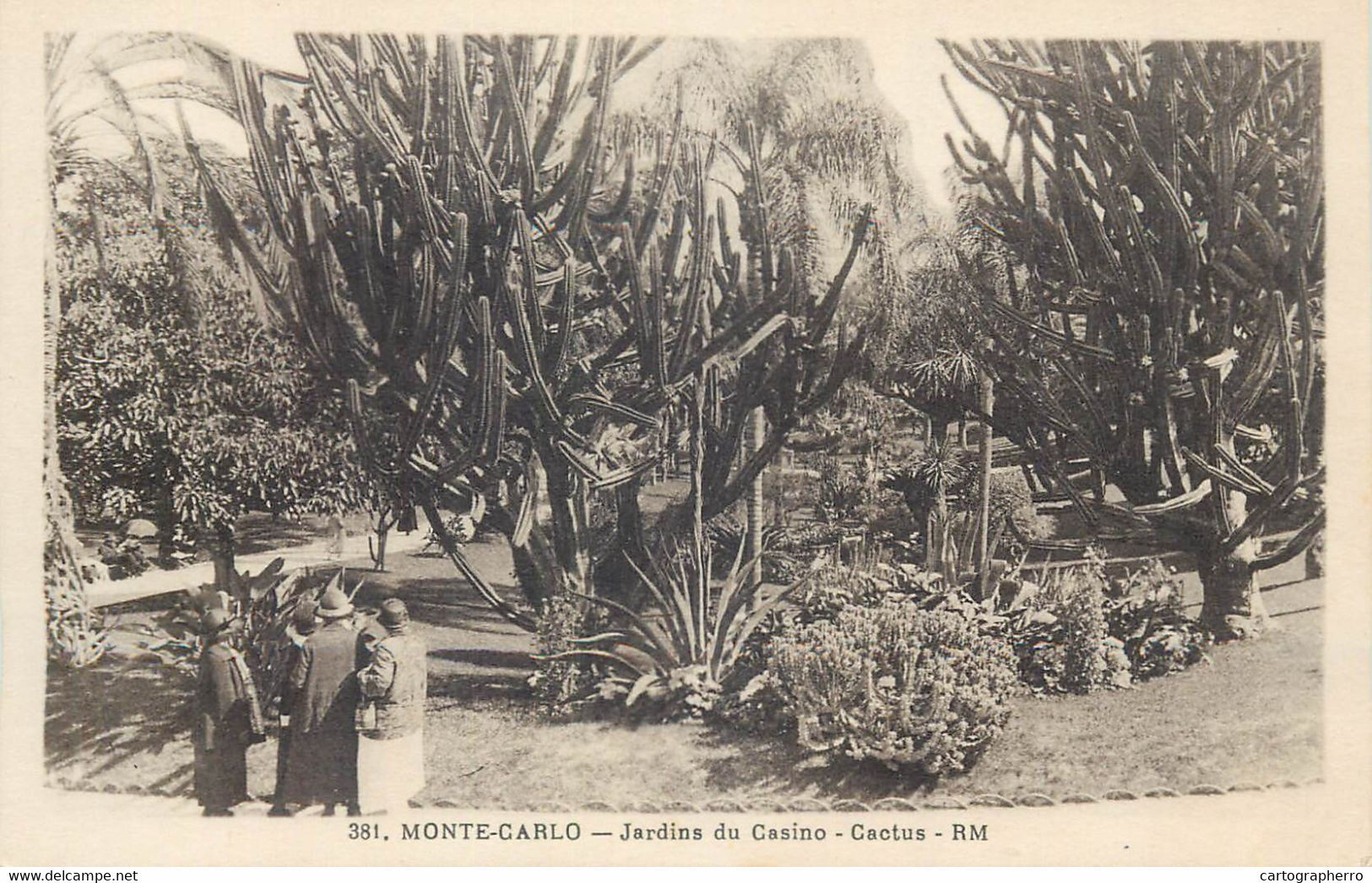 Postcard Monaco Monte Carlo Jardins Du Casino Cactus - Monte-Carlo