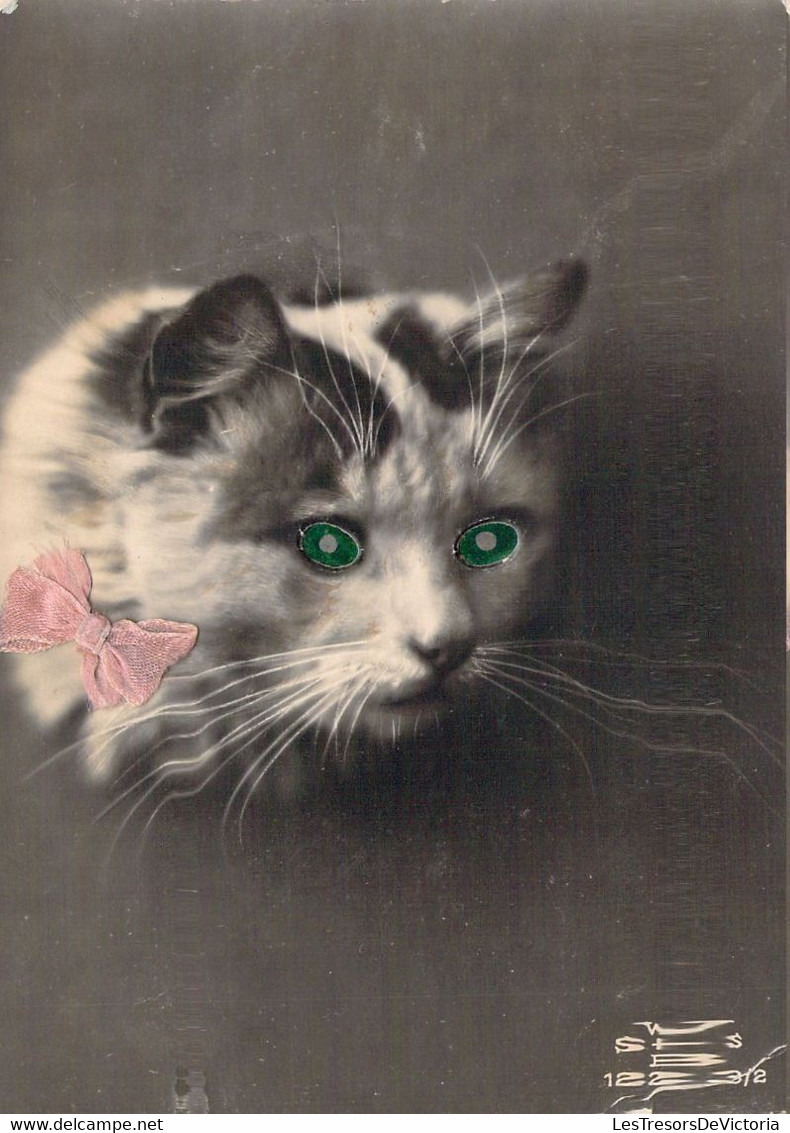 Portrait De Chat Aux Yeux Verts - Carte Postale Ancienne - Chats