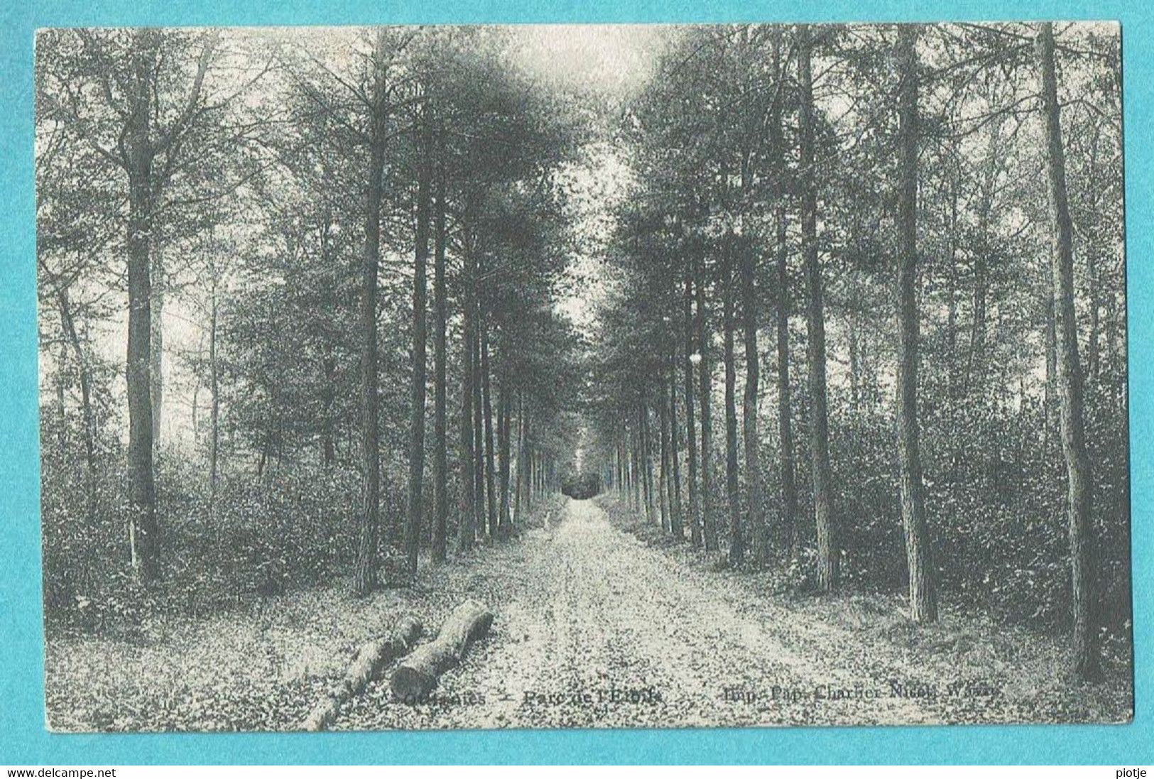 * Ottignies Louvain La Neuve (Brabant Wallon) * (Imp Pap Charlier) Parc, Park, Bois, Allée, Arbres, Old, Rare - Ottignies-Louvain-la-Neuve