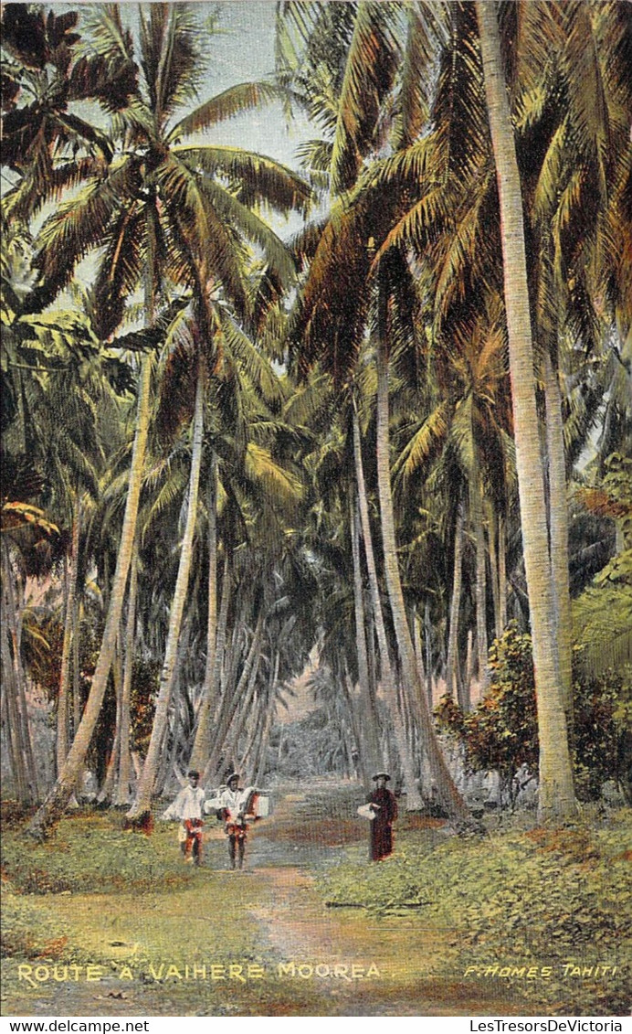 Nouvelle Calédonie - Route A Vaihere - Moorea - Edit. F. Homes - Colorisé - Animé - Palmier - Carte Postale Ancienne - Nouvelle-Calédonie