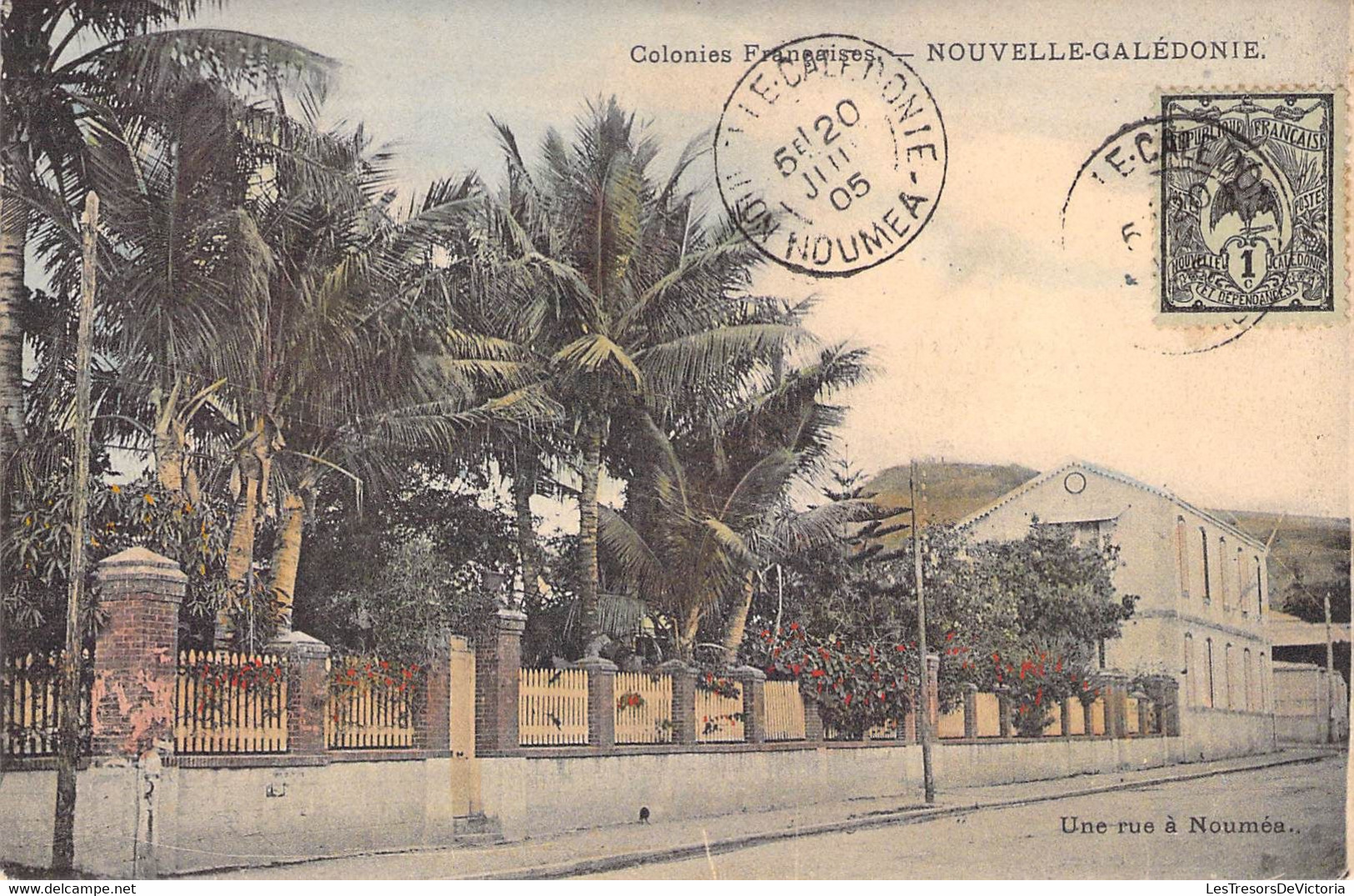 Nouvelle Calédonie - Une Rue à Nouméa - Colonies Françaises - Colorisé - Oblitéré 1905 - Carte Postale Ancienne - New Caledonia