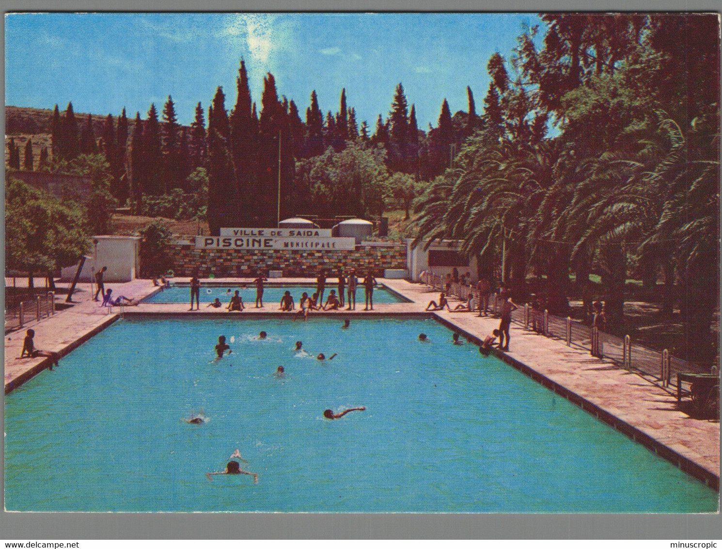 CPM - Algérie - Saïda - La Piscine Municipale - Saïda