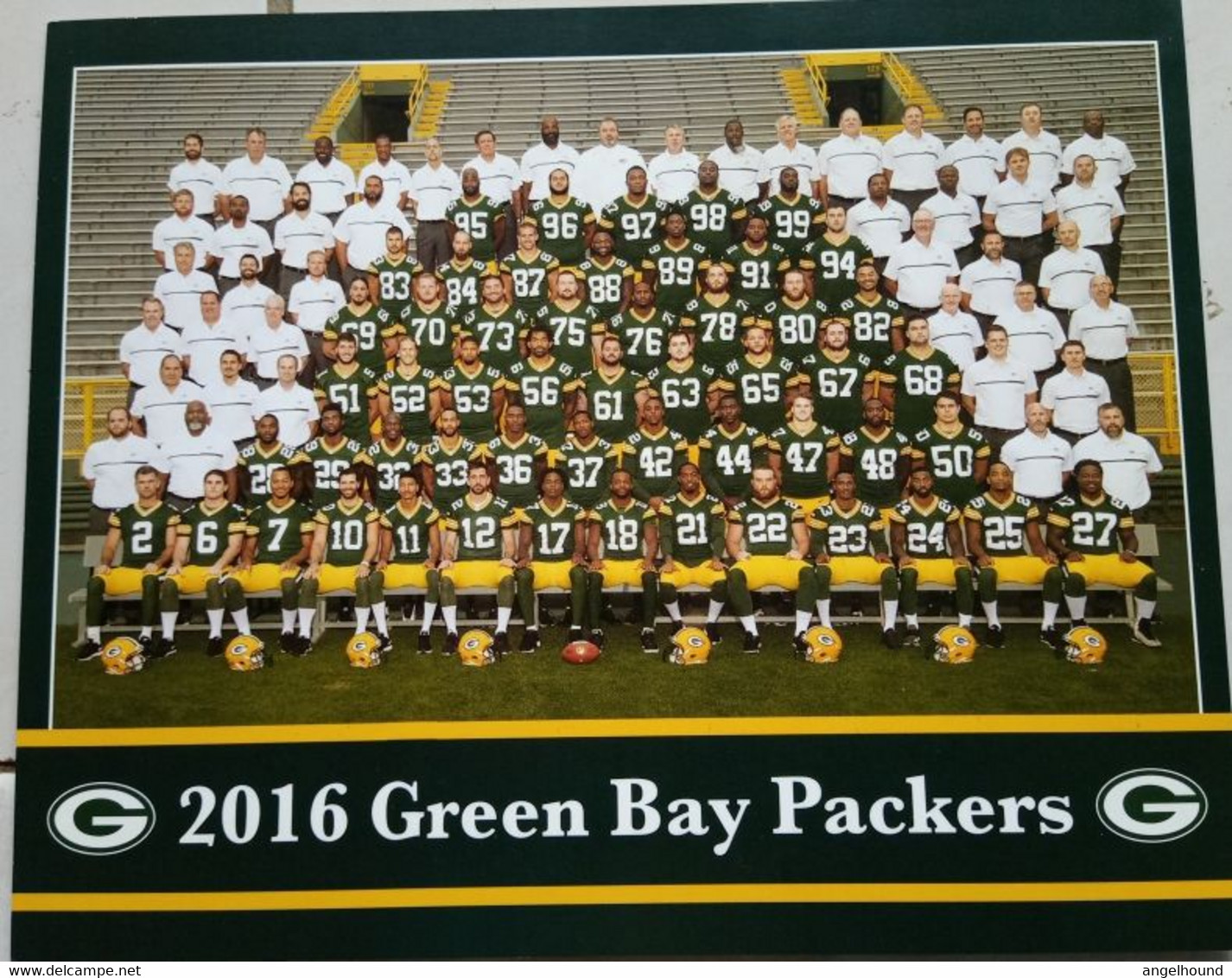 American Football Team Green Bay Packers Team Photo 2016 - Green Bay Packers