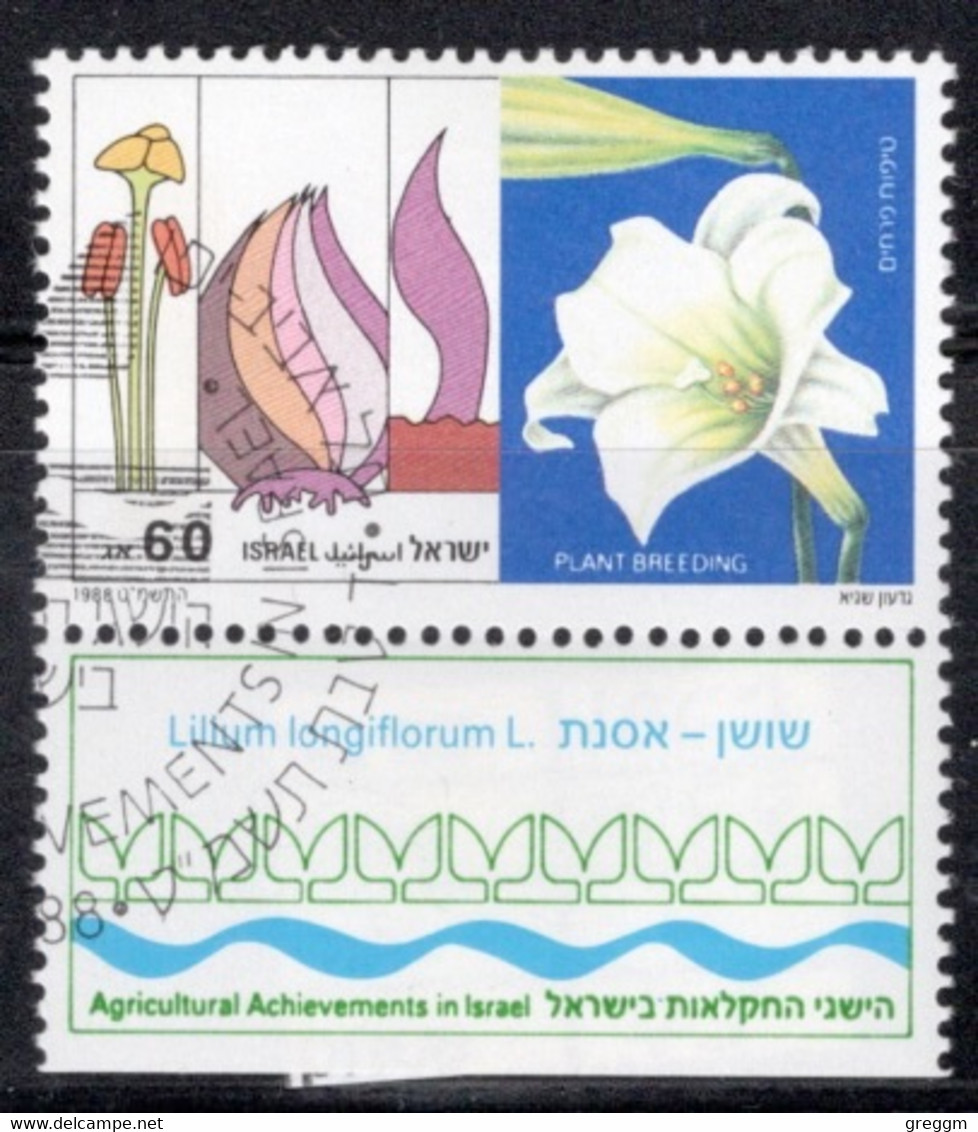 Israel 1988 Single Stamp Celebrating Agriculture And Achievements In Fine Used With Tab - Used Stamps (with Tabs)