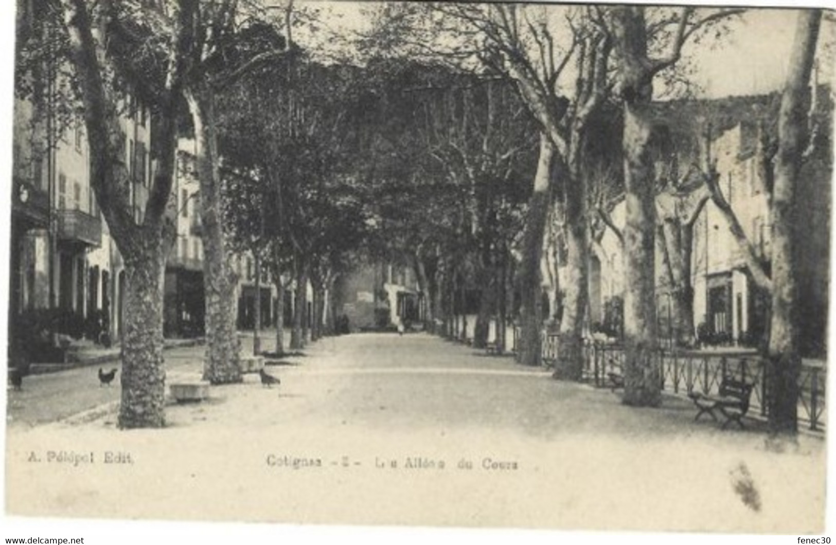 83 Cotignac Var L'allée Du Centre - Cotignac