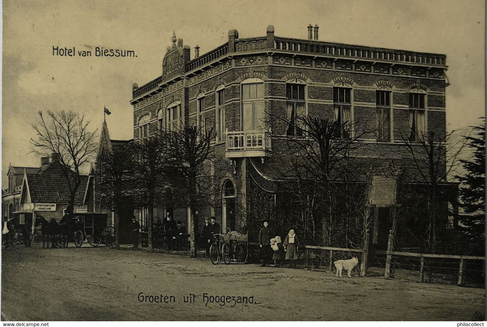 Hoogezand (Grn.) Groeten Uit - Hotel Van Biessum 1909 Topkaart - Hoogezand