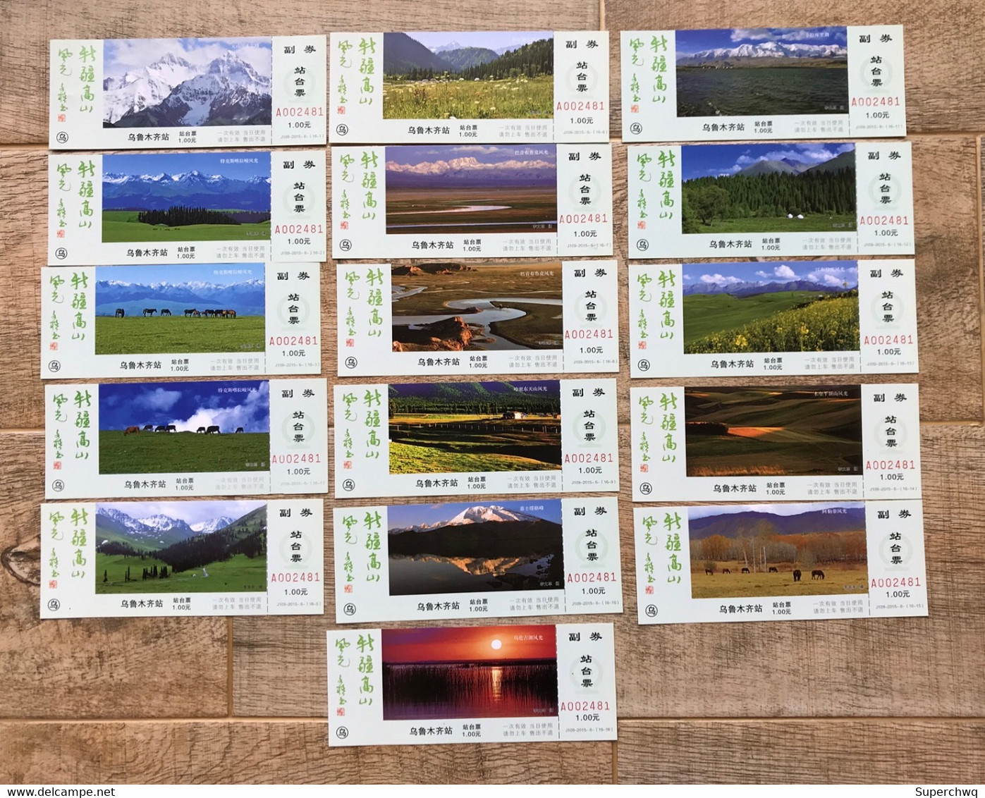 China Platform Ticket Of Urumqi Railway Bureau Xinjiang Alpine Scenery，16 Pcs - Monde