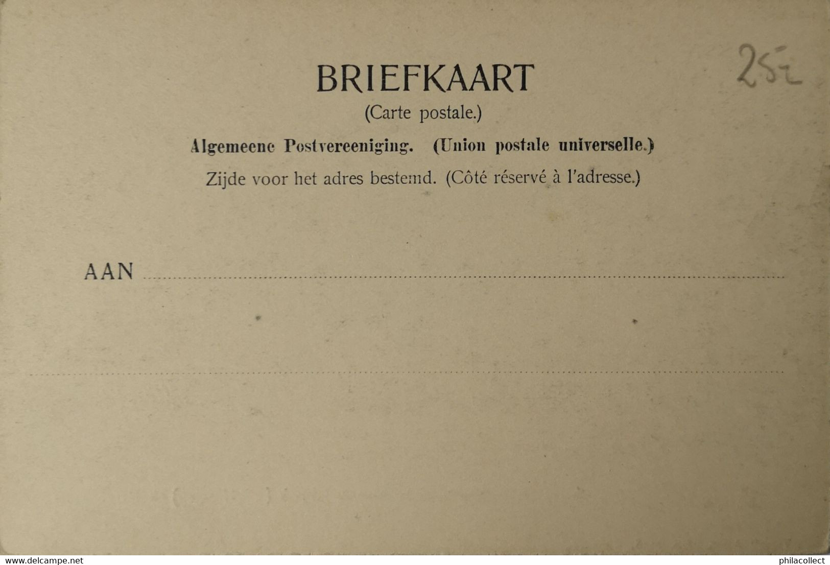 Neede (Gld.) Straat Gezicht Naar De Fabriek Ten Hoopen En R. K. Kerk Ca 1900 Vivat Topkaart - Neede