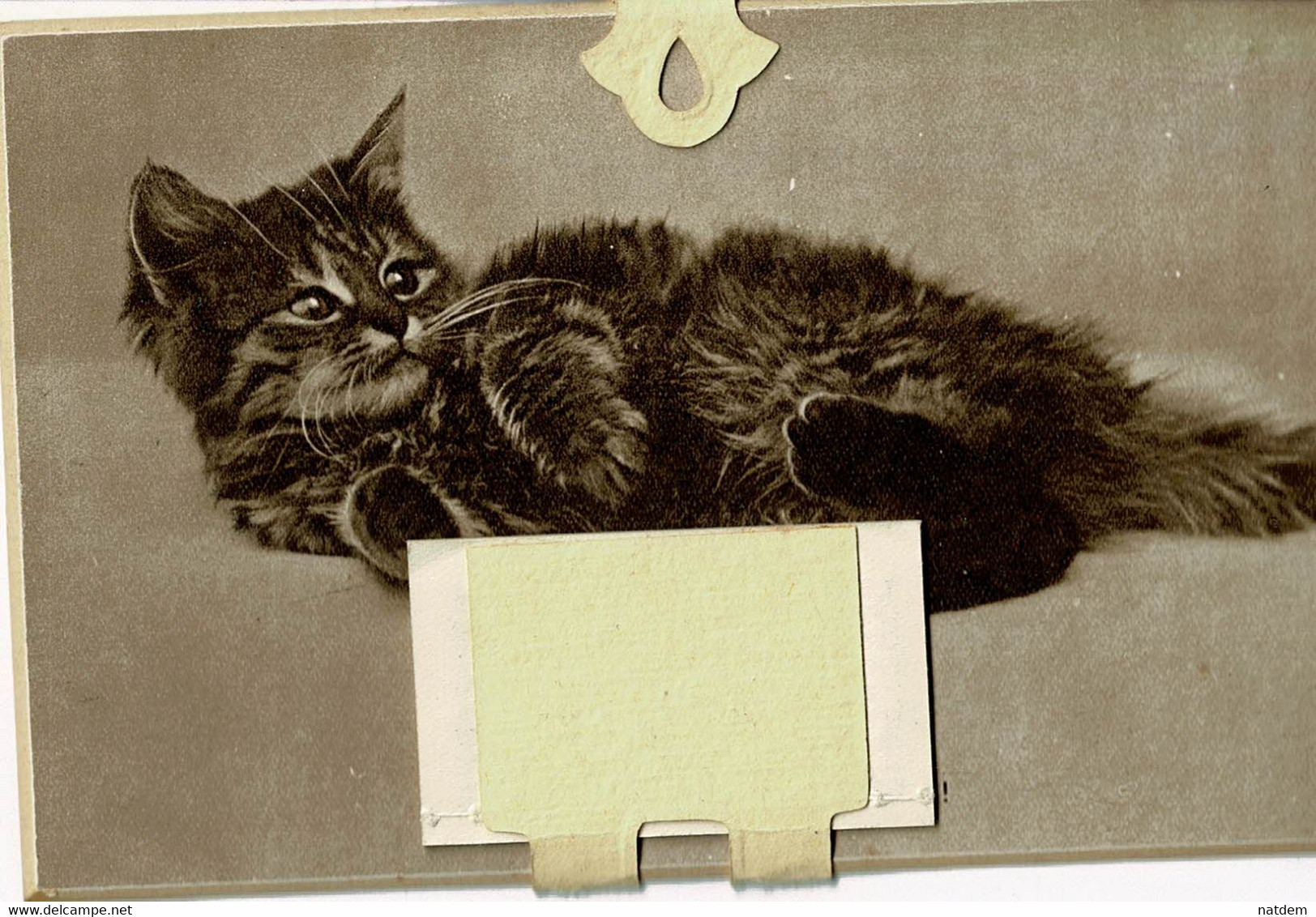 Calendrier 1938, Décor CHAT, Format Carte Postale, Se Replie Et Peut être Envoyé Sous Enveloppe - Petit Format : 1921-40