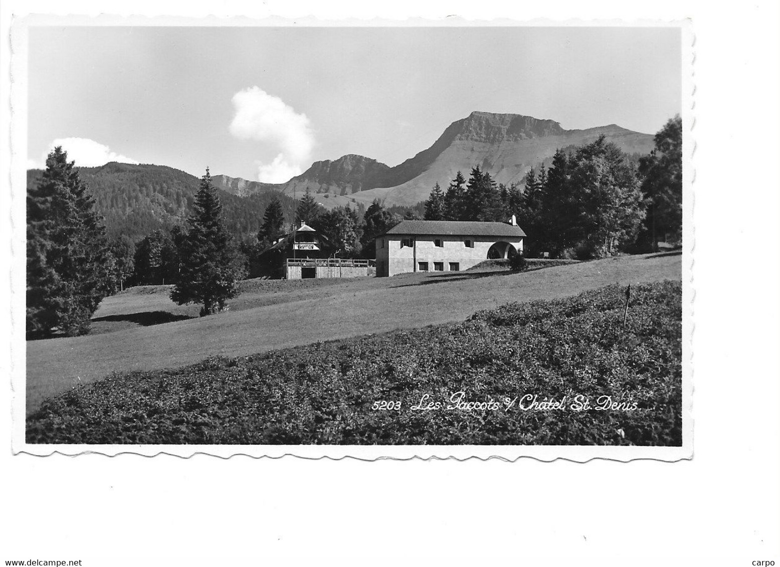 Les Paccots Sur Châtel Saint-Denis. - Châtel-Saint-Denis