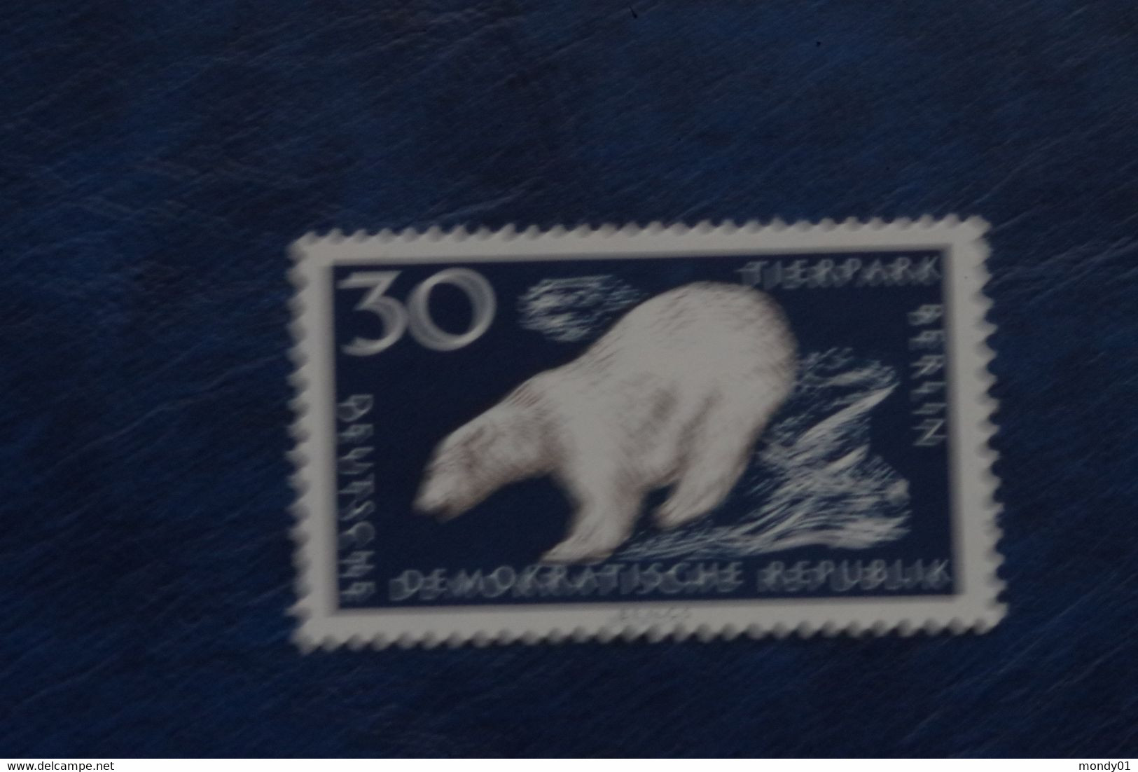 2-831 Arctic Animal Polaire Océan Glacial DDR Ours Blanc Polar Bear Oso Blanco Ouso Polare Ijbjorn Urso Zoo Berlin - Arctic Wildlife