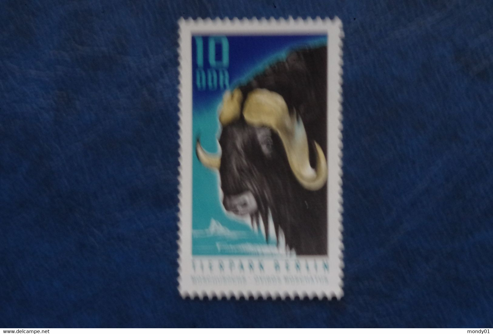 2-832 Arctic Animal Polaire Océan Glacial DDR Zoo Berlin Boeuf Musqué Ovibos Moschatus Groenland Moschusochse Musk Ox - Arctic Wildlife