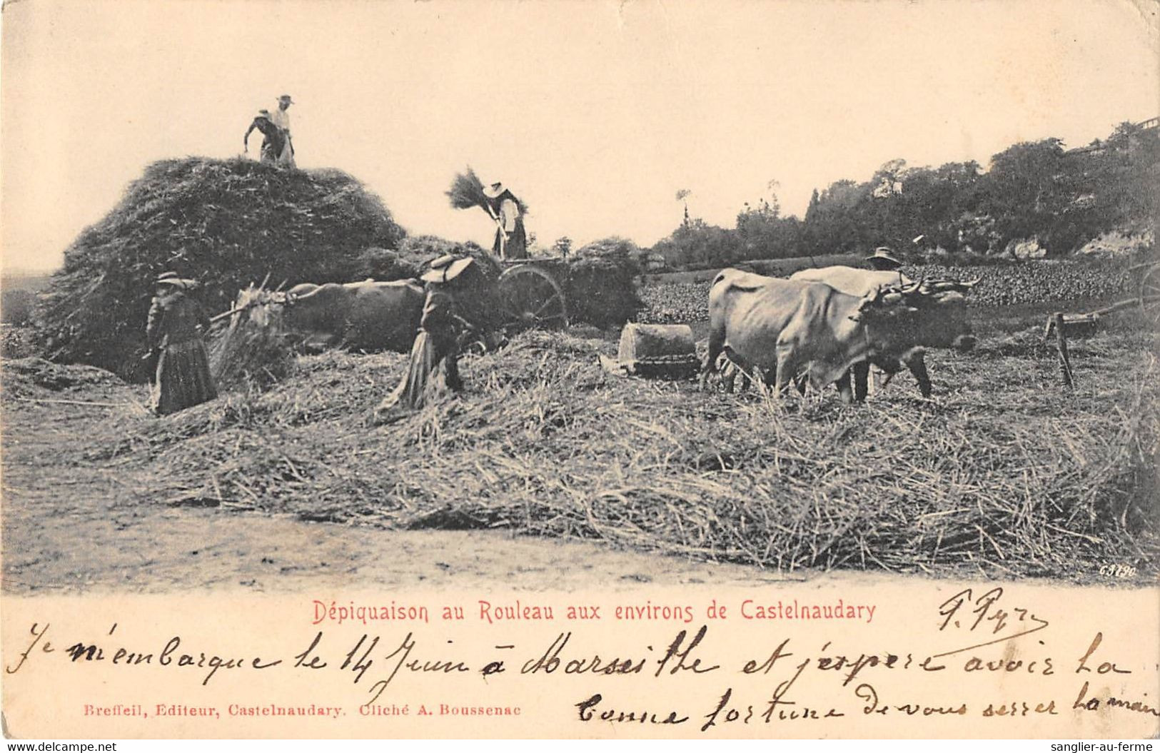 CPA 11 DEPIQUAISON AU ROULEAU AUX ENVIRONS DE CASTELNAUDARY / SCENE D'AGRICULTURE - Castelnaudary