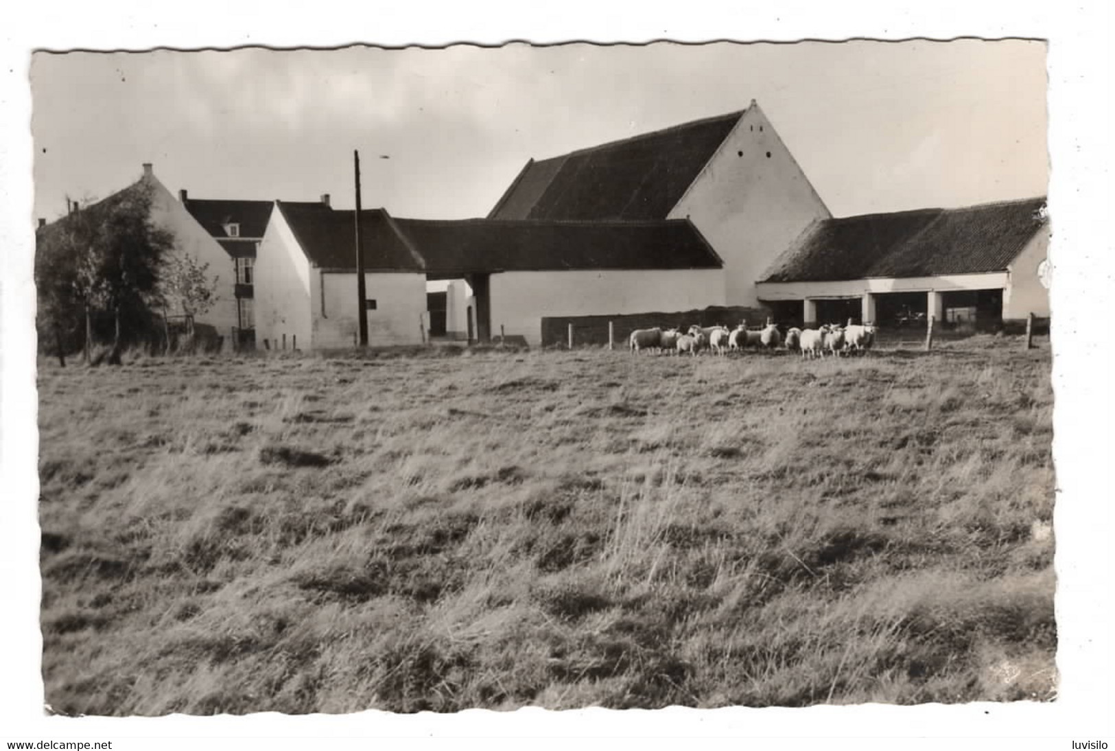 Heze Ferme Del Sart ( Grez Doiceau ) - Graven