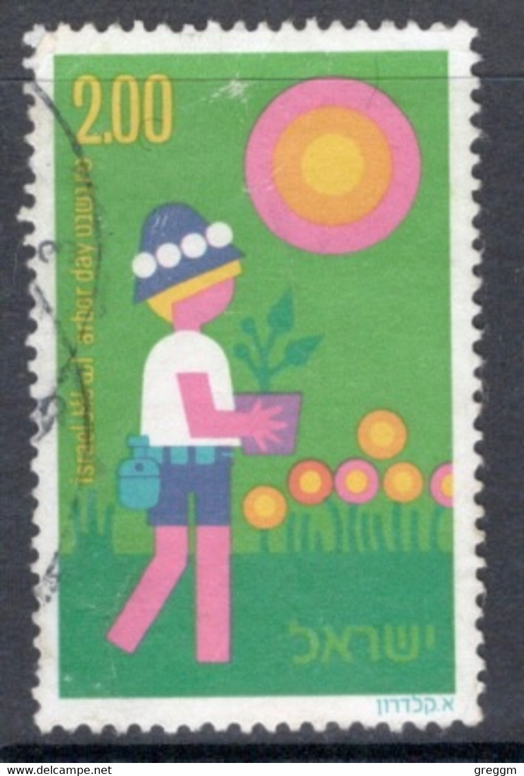 Israel 1975 Single Stamp Celebrating Day Of The Tree  In Fine Used - Usati (senza Tab)