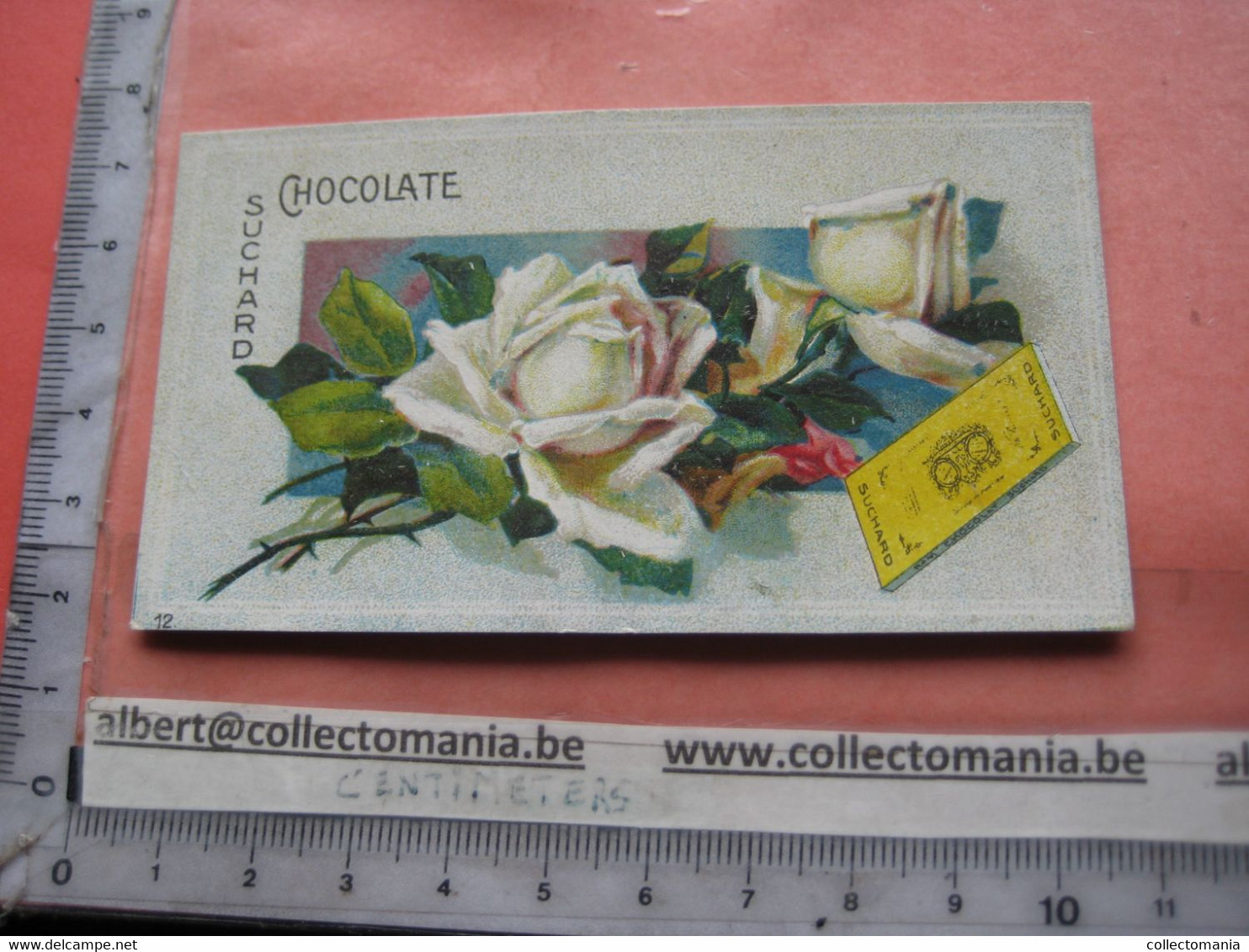 11 Card Chocolade Cacao Suchard nr 256 Flowers - FRONT = VERY GOOD - backside, center glue stain, bad ungluing