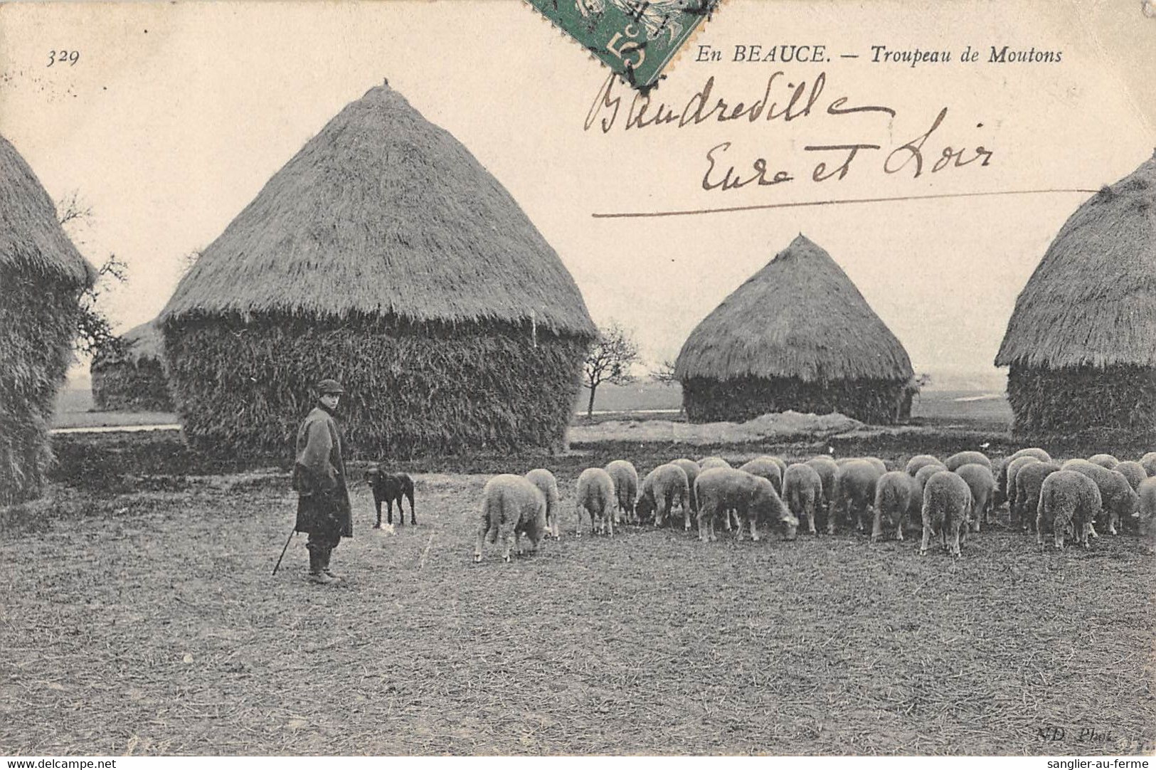 CPA 28 EN BEAUCE TROUPEAU DE MOUTONS / BERGER / AGRICULTURE - Andere & Zonder Classificatie