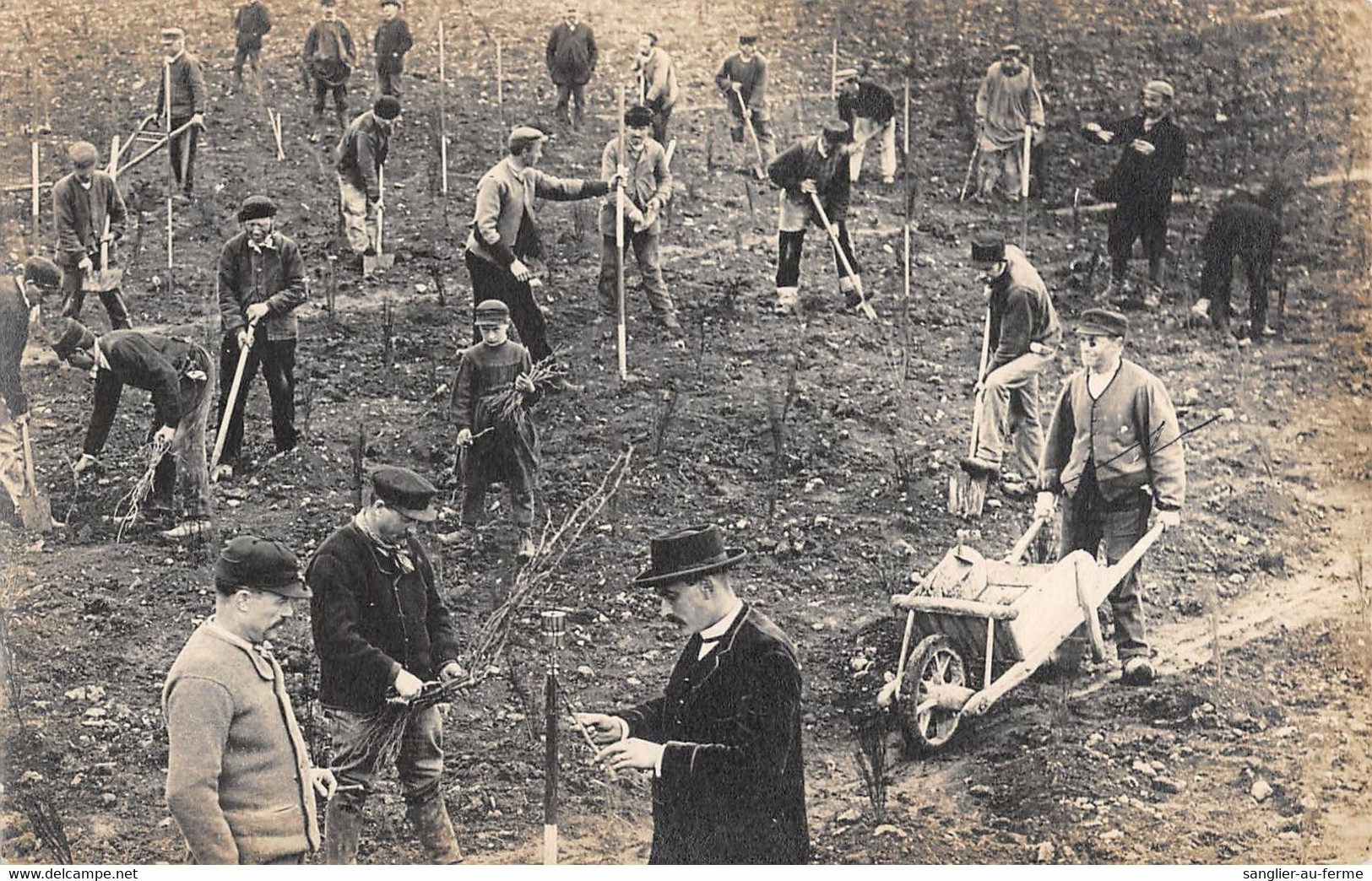 CPA 28 CARTE PHOTO D'UNE VUE DE BEAUCE / AGRICULTURE / TRAVAIL DE LA TERRE - Sonstige & Ohne Zuordnung