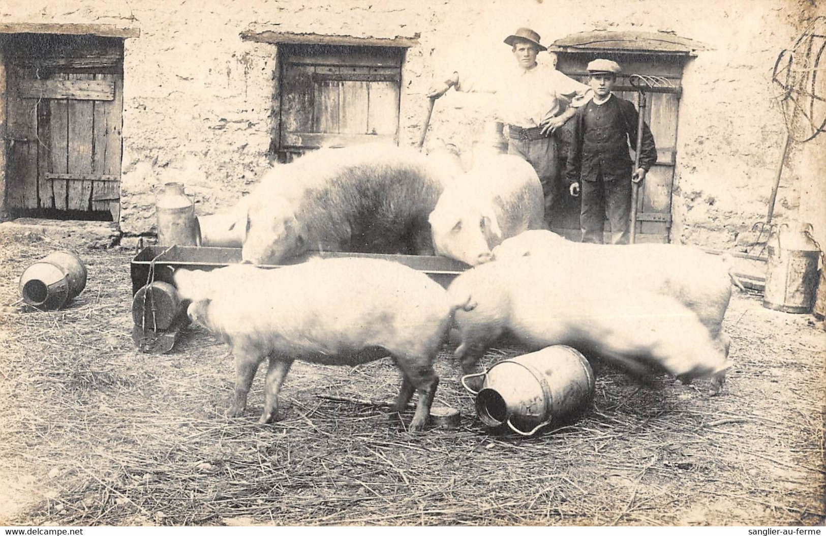 CPA 28 CARTE PHOTO D'UNE VUE DE BEAUCE / ELEVAGE DE PORCS / AGRICULTURE - Sonstige & Ohne Zuordnung