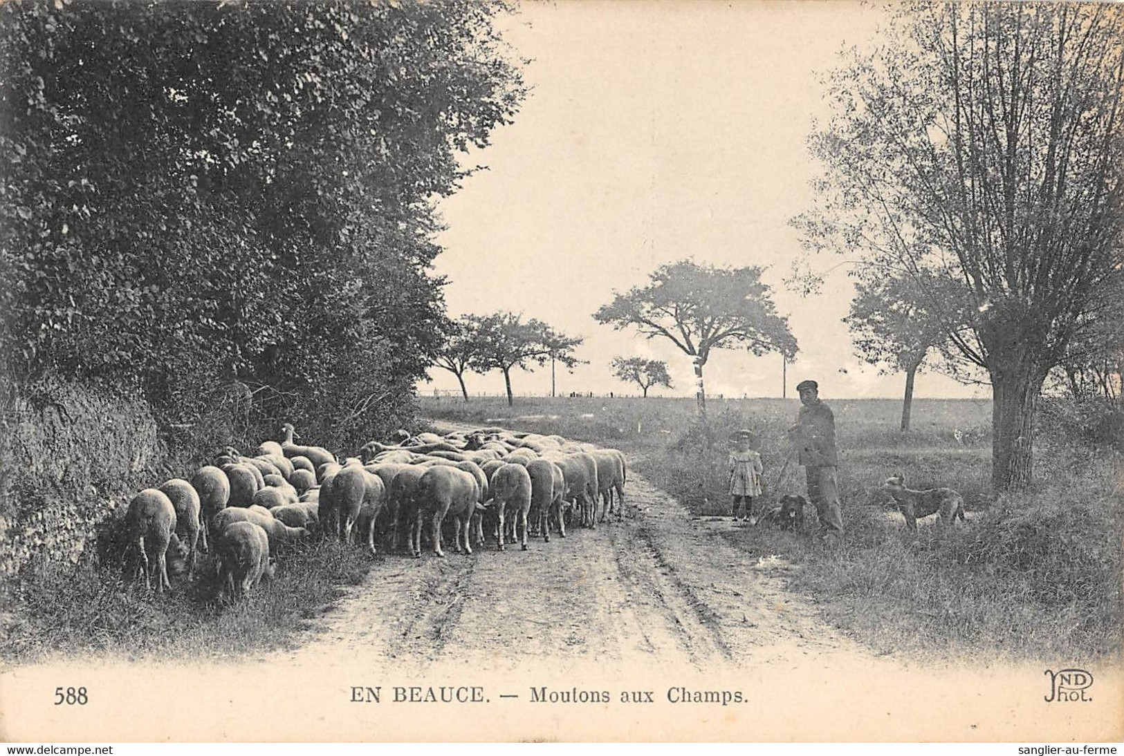 CPA 28 EN BEAUCE MOUTONS AUX CHAMPS / BERGER - Other & Unclassified